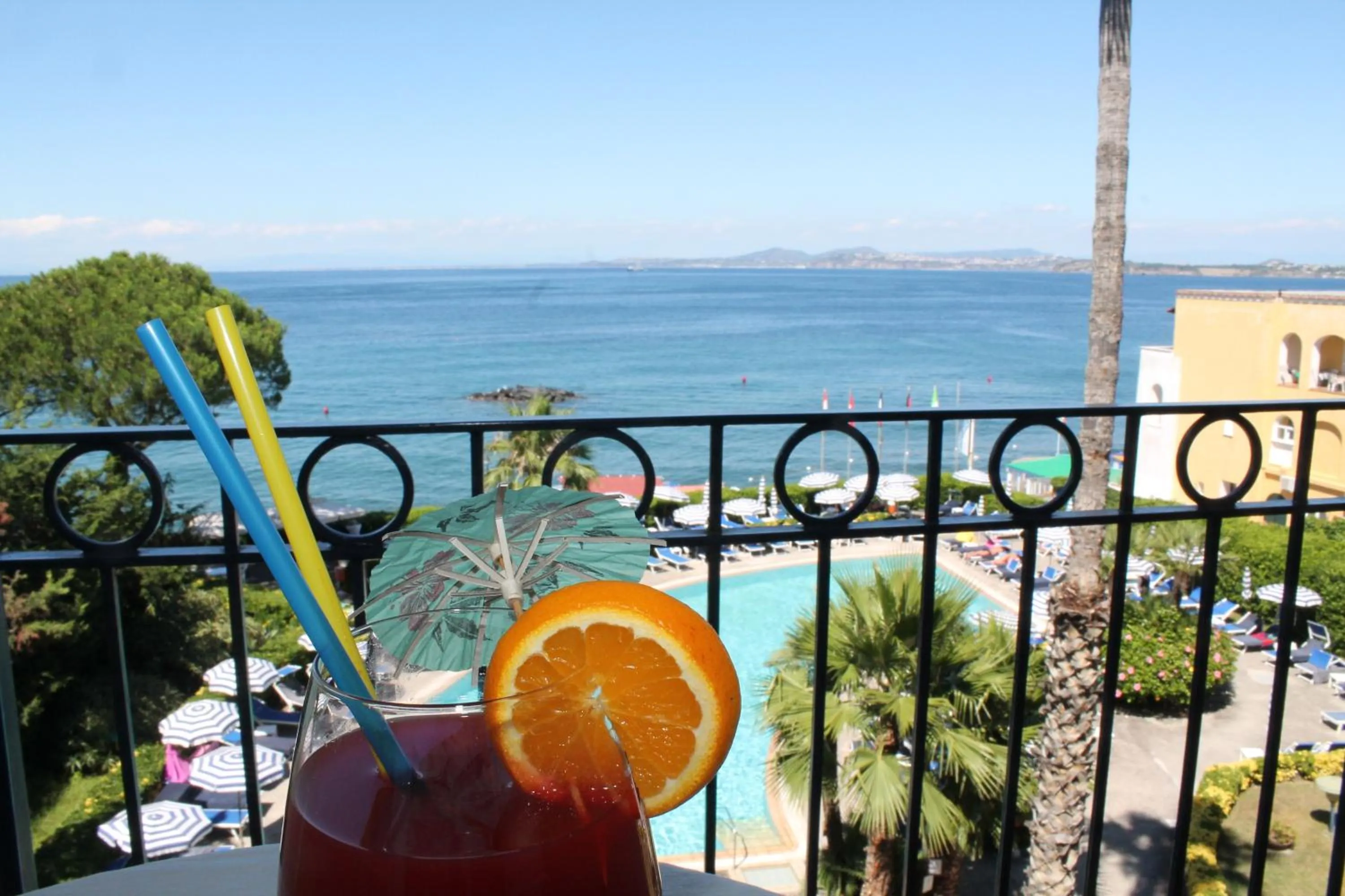 Pool view in Hotel Terme Alexander