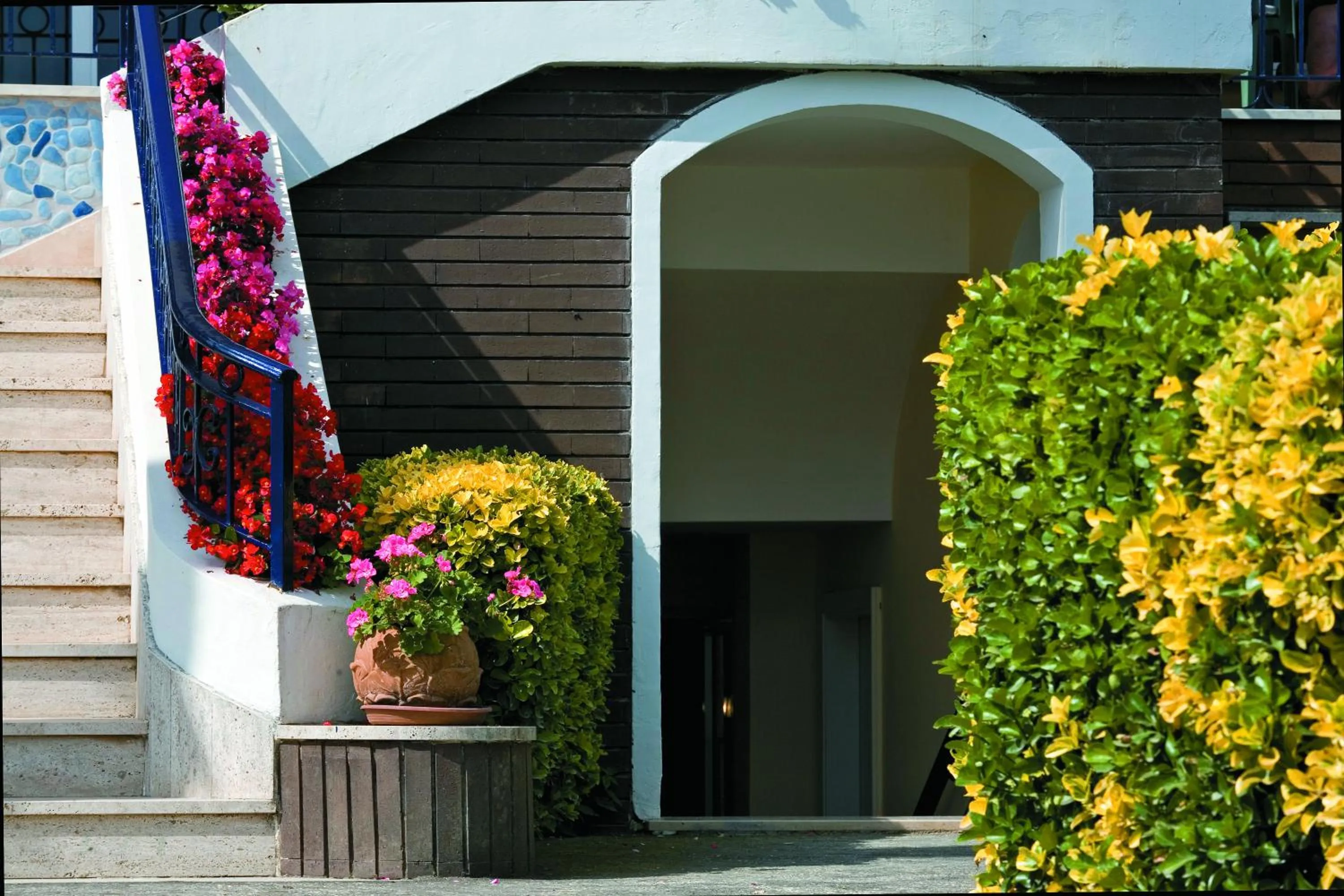 Facade/entrance in Hotel Terme Alexander