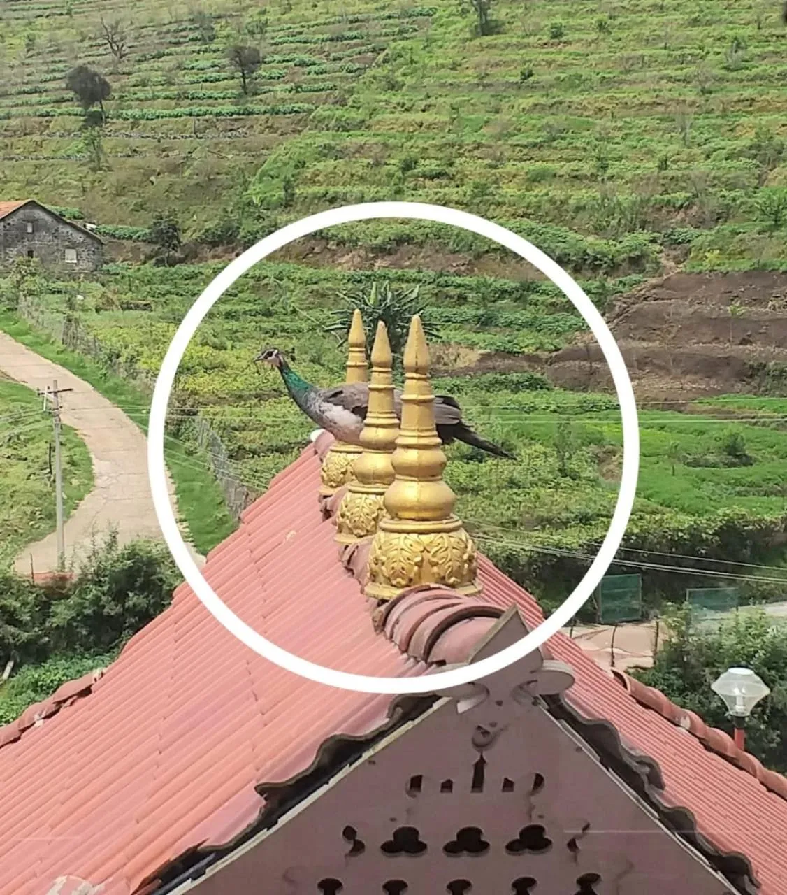 Bogar Palace Kodaikanal