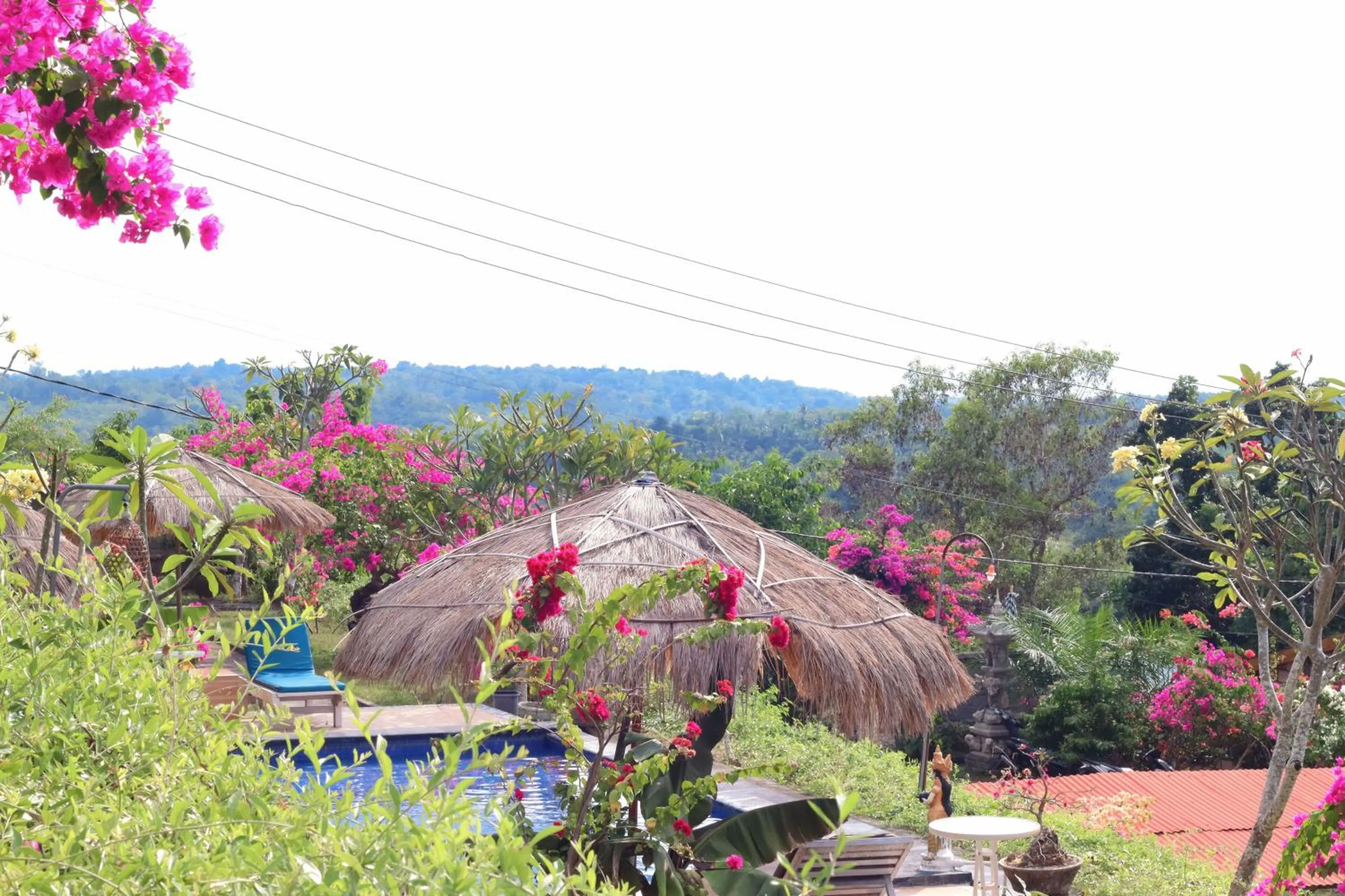 View (from property/room) in Sarivanna Penida