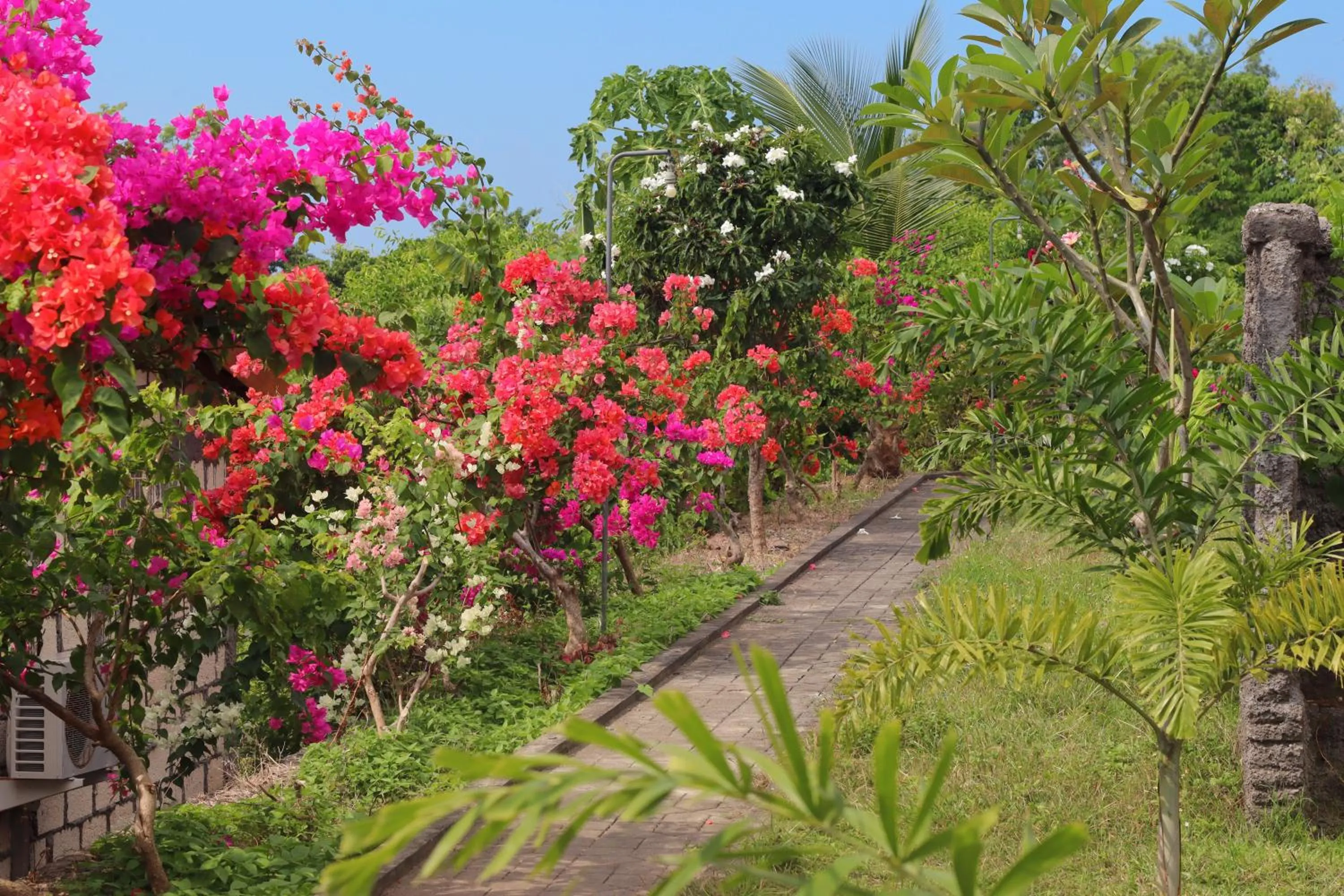 Garden in Sarivanna Penida