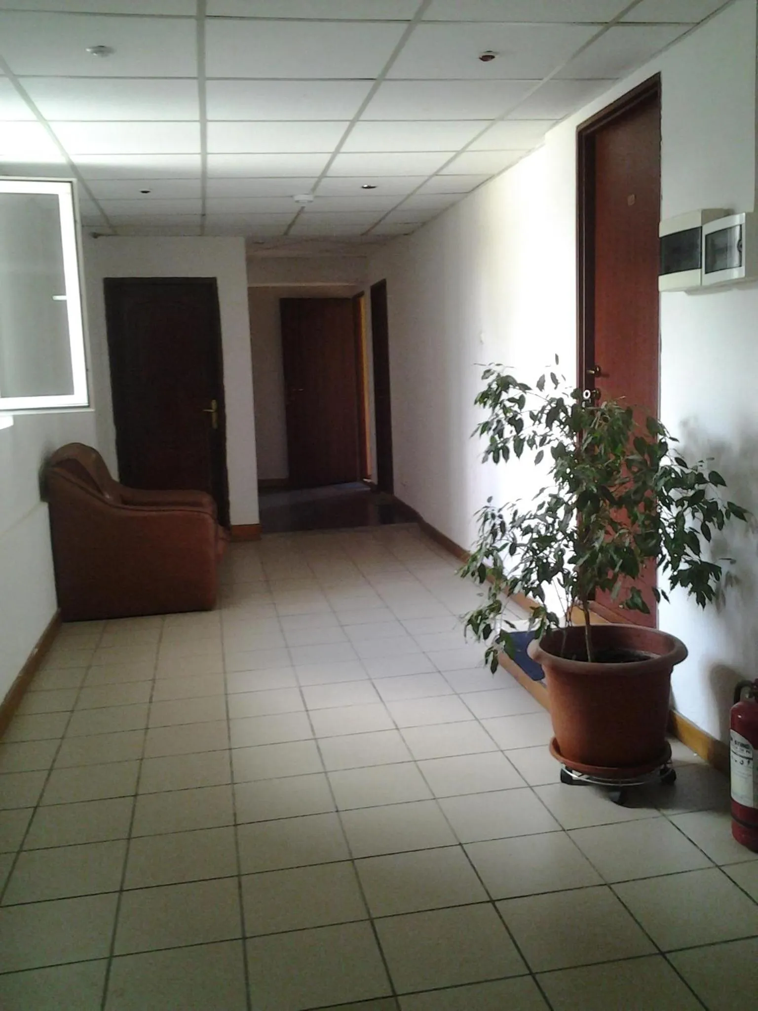 Other in Motel Traffic