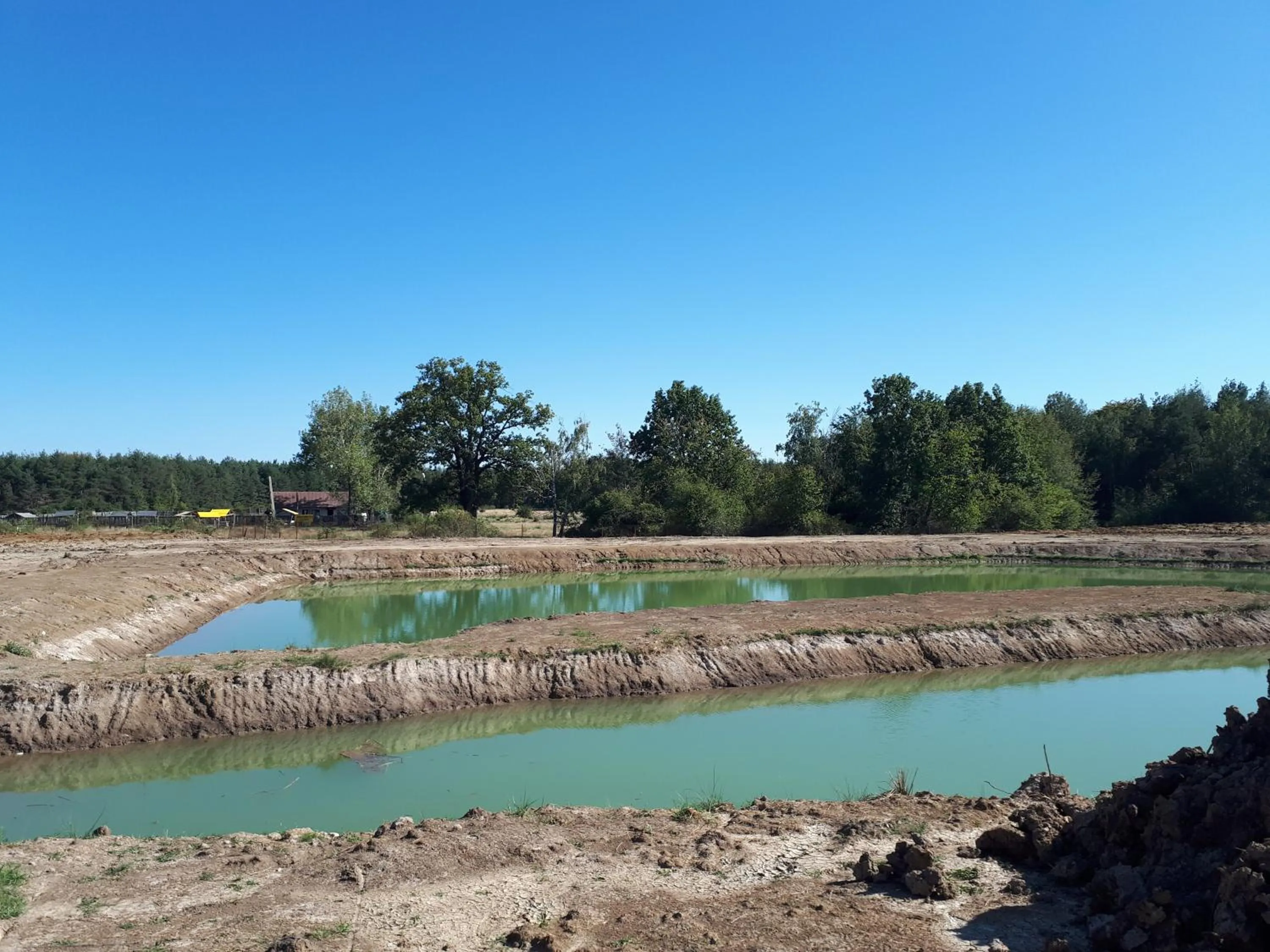 Fishing in Motel Traffic