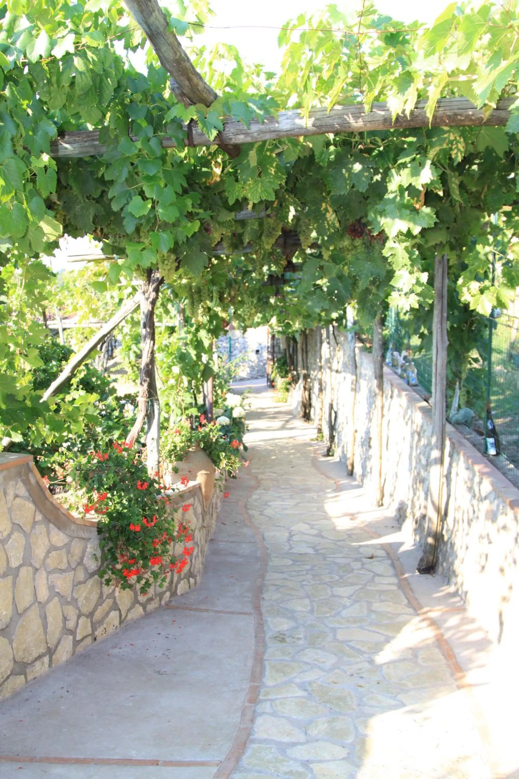 Facade/entrance in B&B Il Grappolo