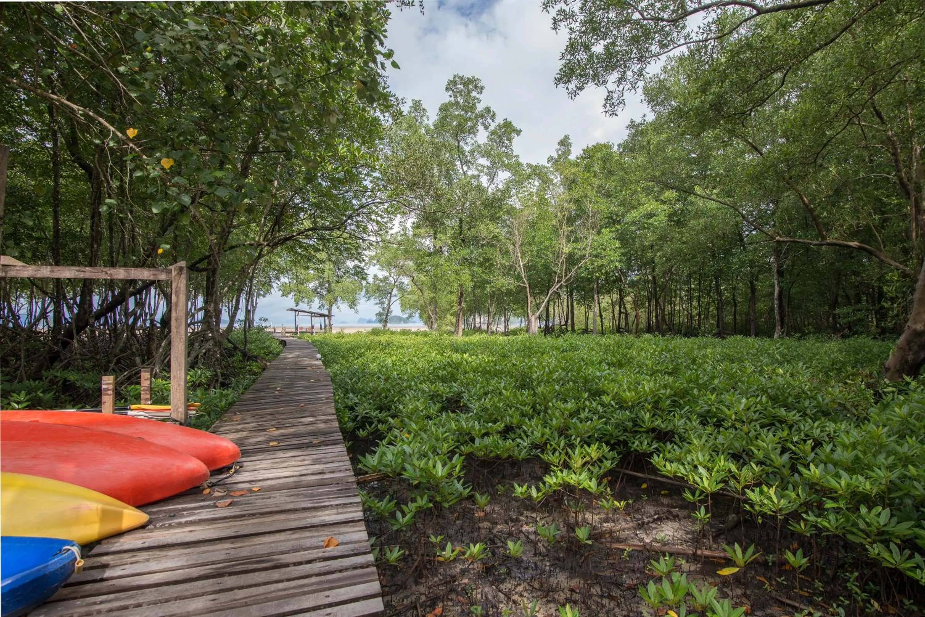 Garden in Bananas Resort & Restaurant