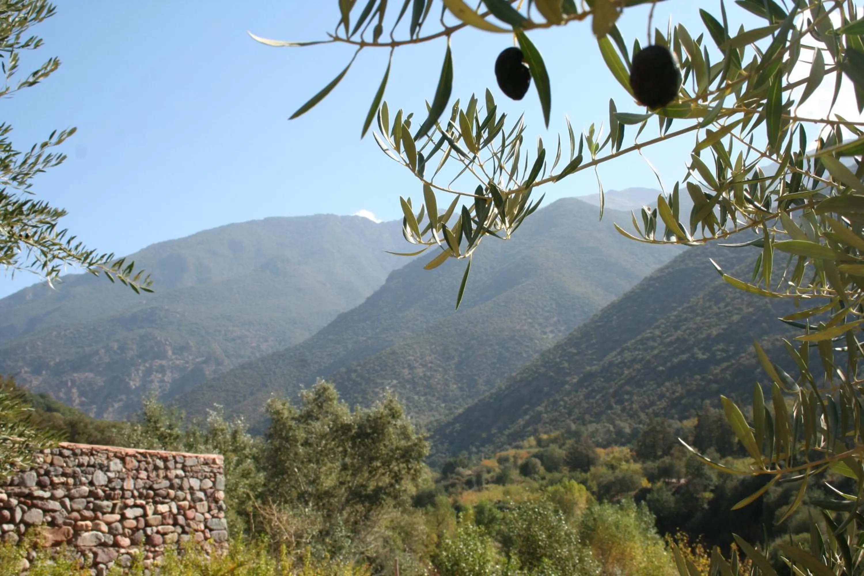 Spring in Kasbah Africa - High Atlas Dark Sky & Nature Lodge