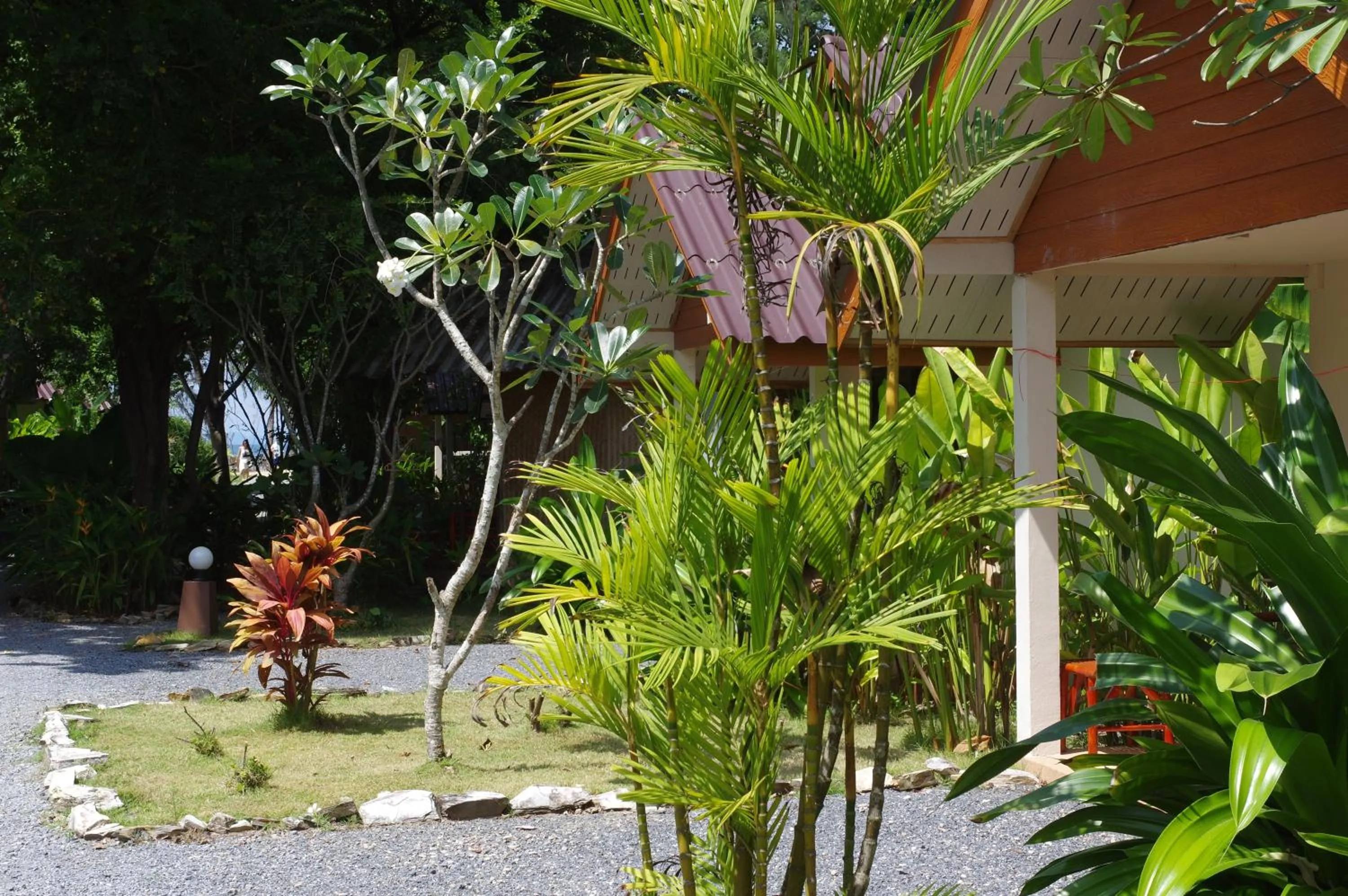 Garden view in Thai House Beach Resort