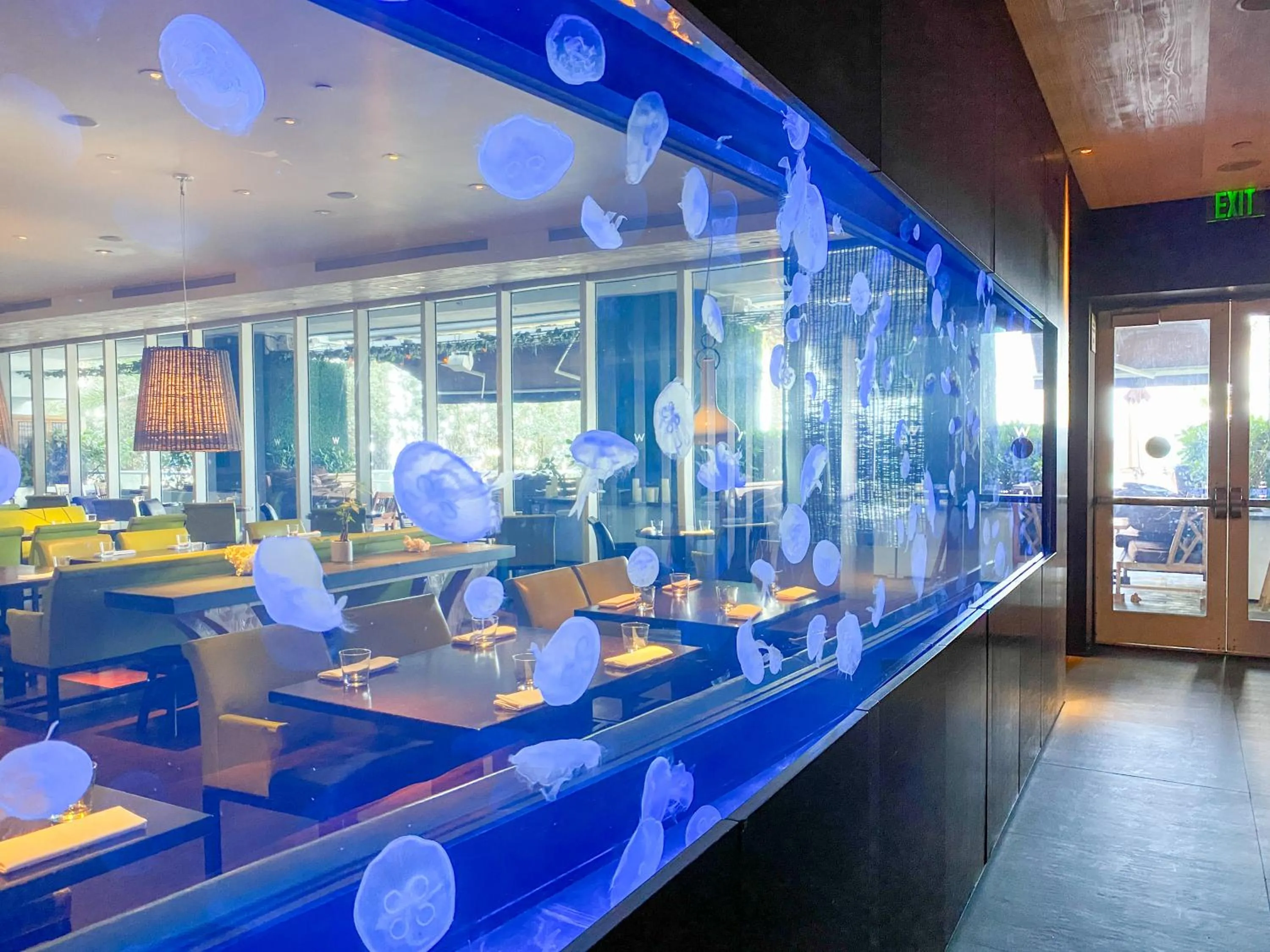 Property building in W Residences Fort Lauderdale Luxury Suites Across from Fort Lauderdale Beach