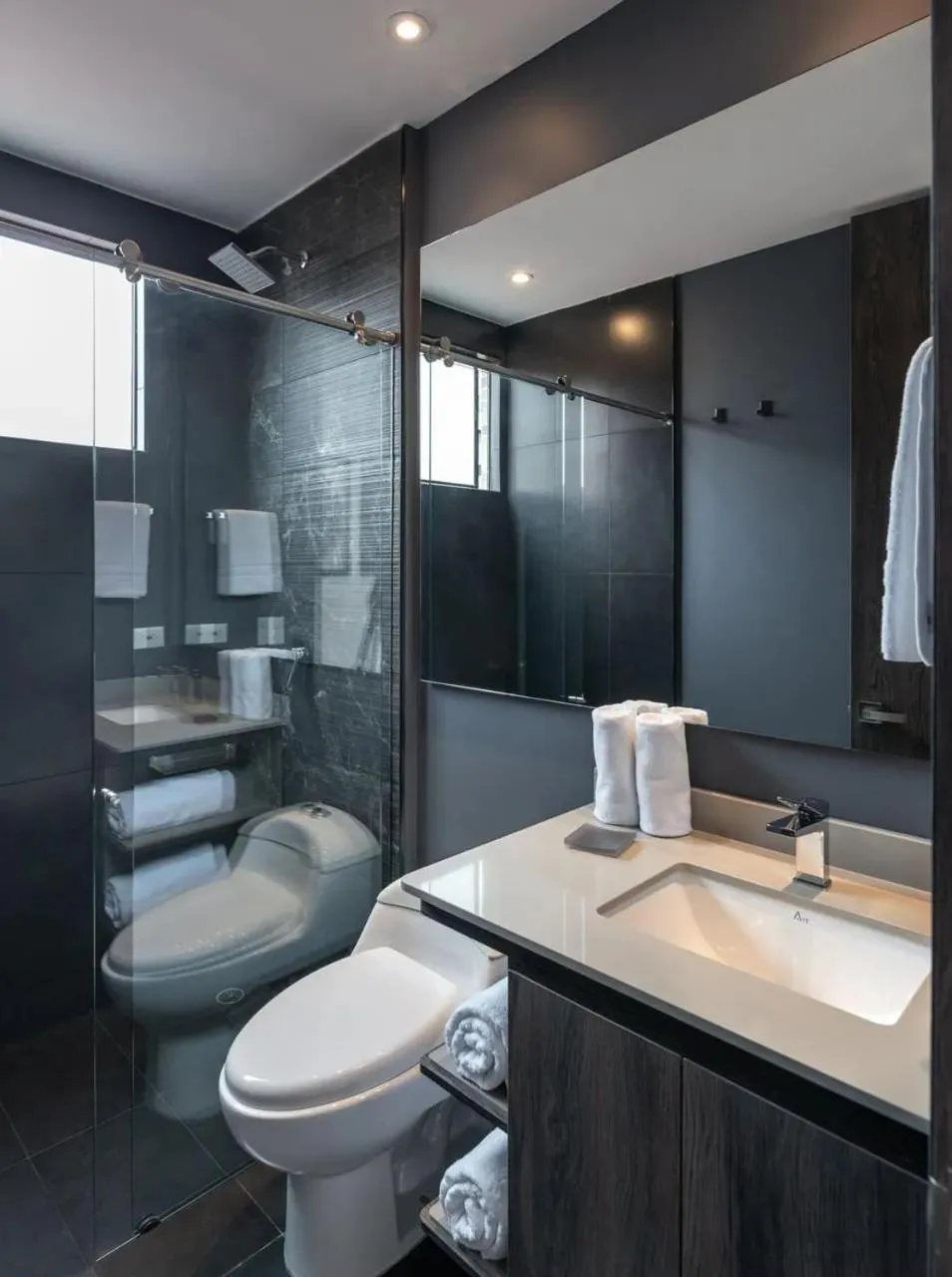 Toilet in Edificio Morph Chico