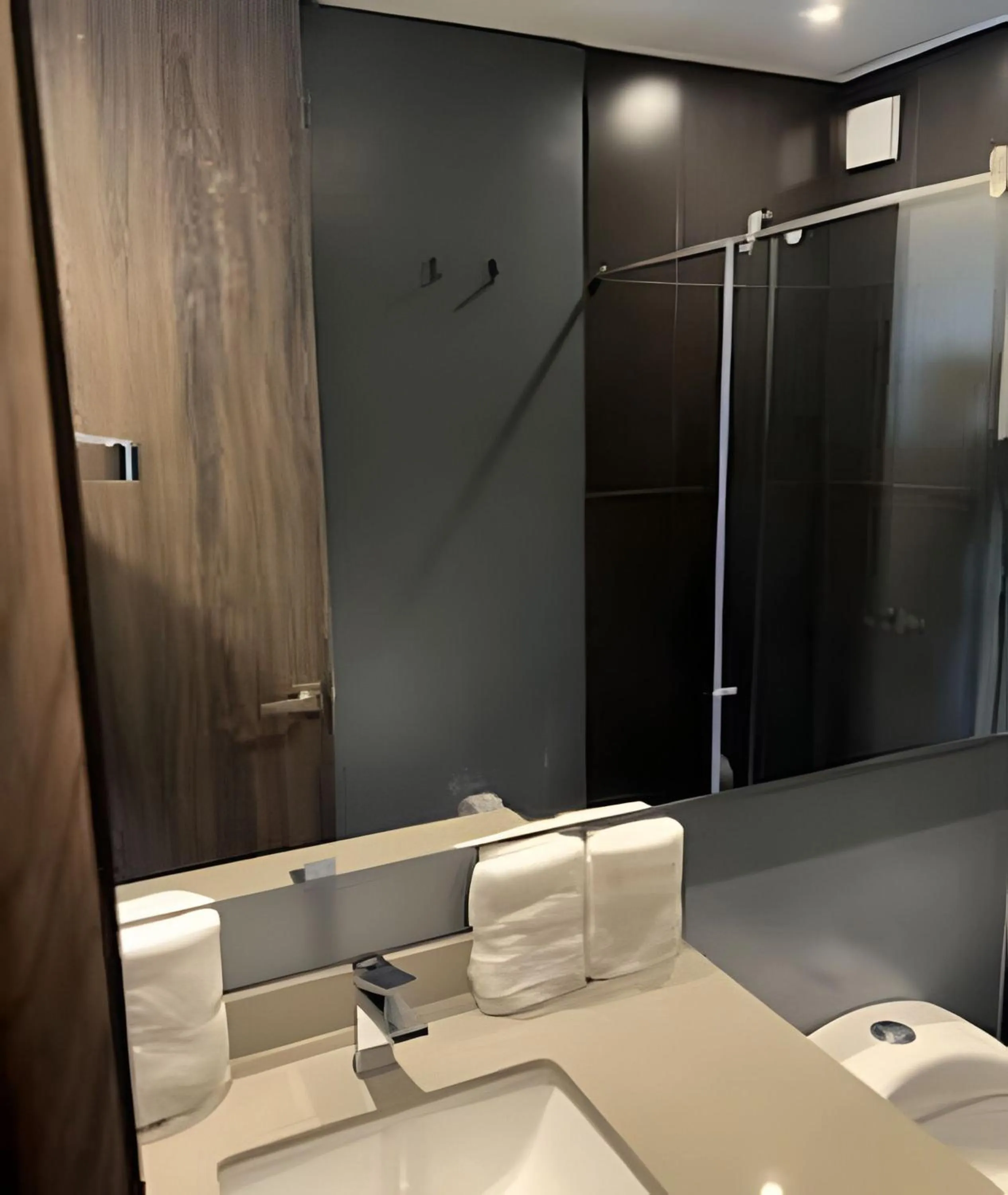 Toilet in Edificio Morph Chico