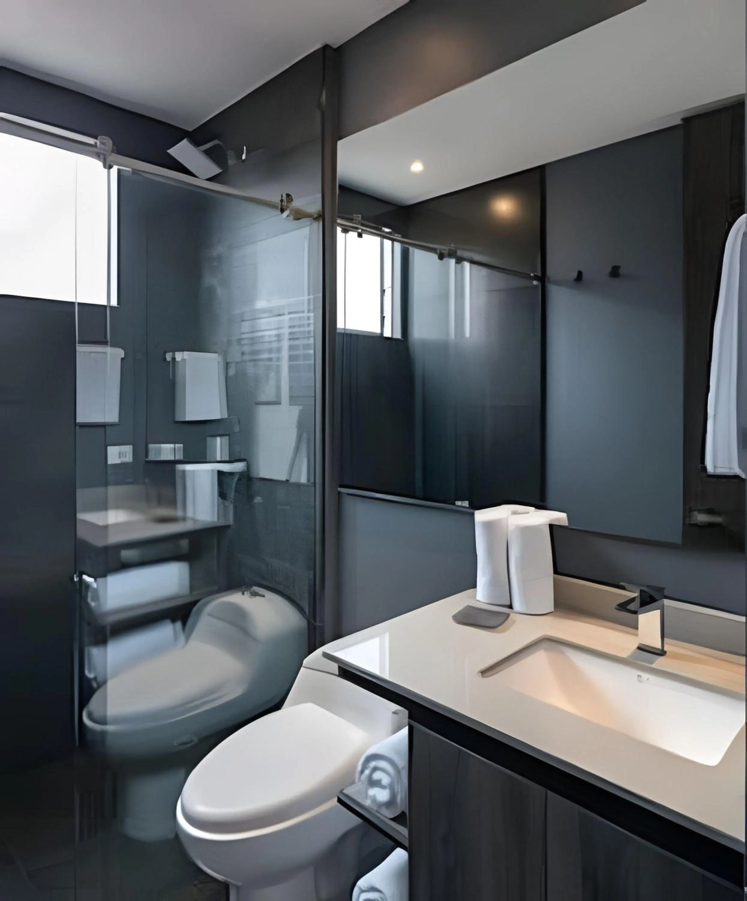 Toilet in Edificio Morph Chico