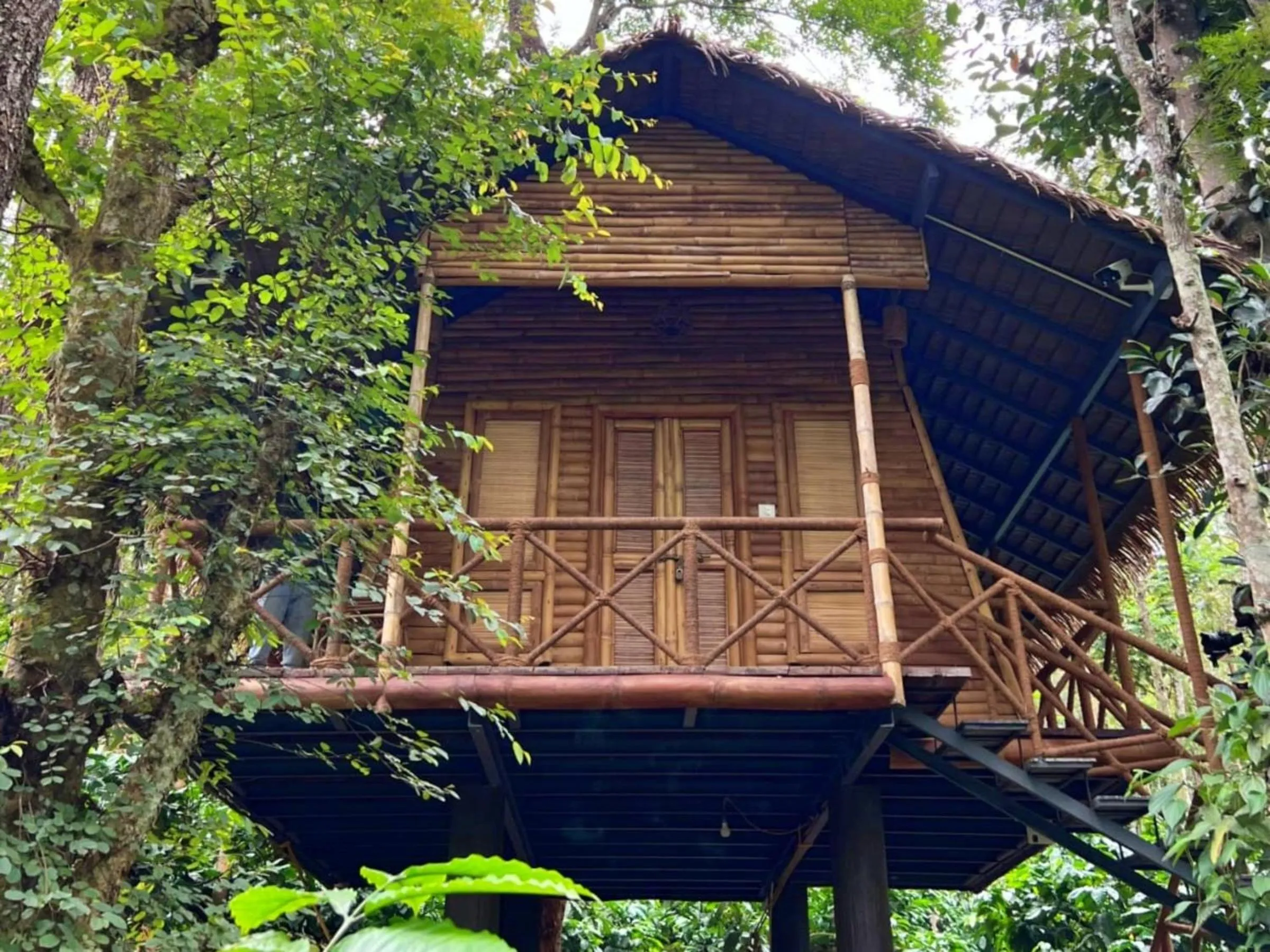 Property building in Adrak Mountain Mist Forest Resort