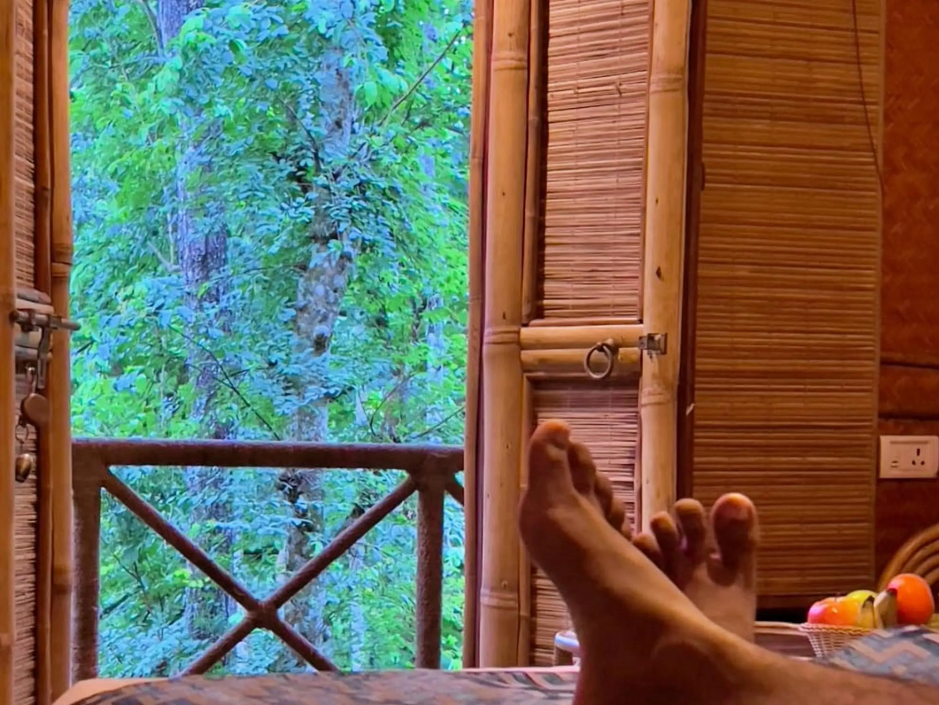 Garden view in Adrak Mountain Mist Forest Resort Garden view in Adrak Mountain Mist Forest Resort