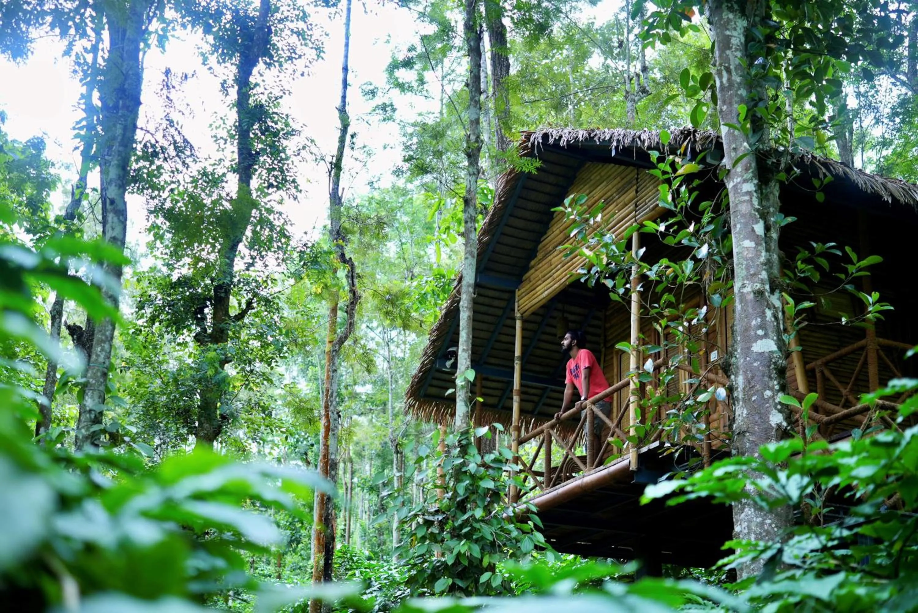 Property building in Adrak Mountain Mist Forest Resort