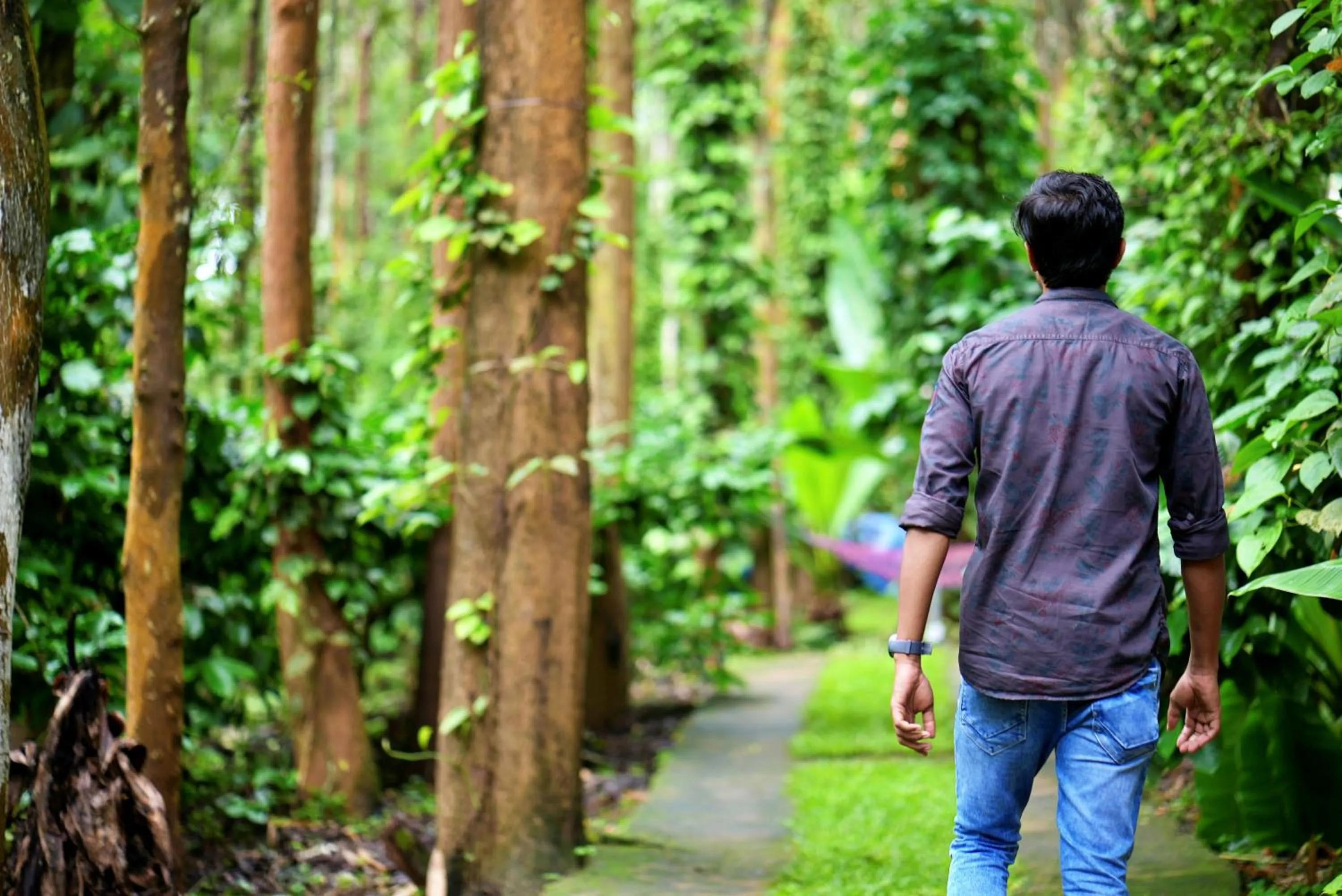 Guests in Adrak Mountain Mist Forest Resort