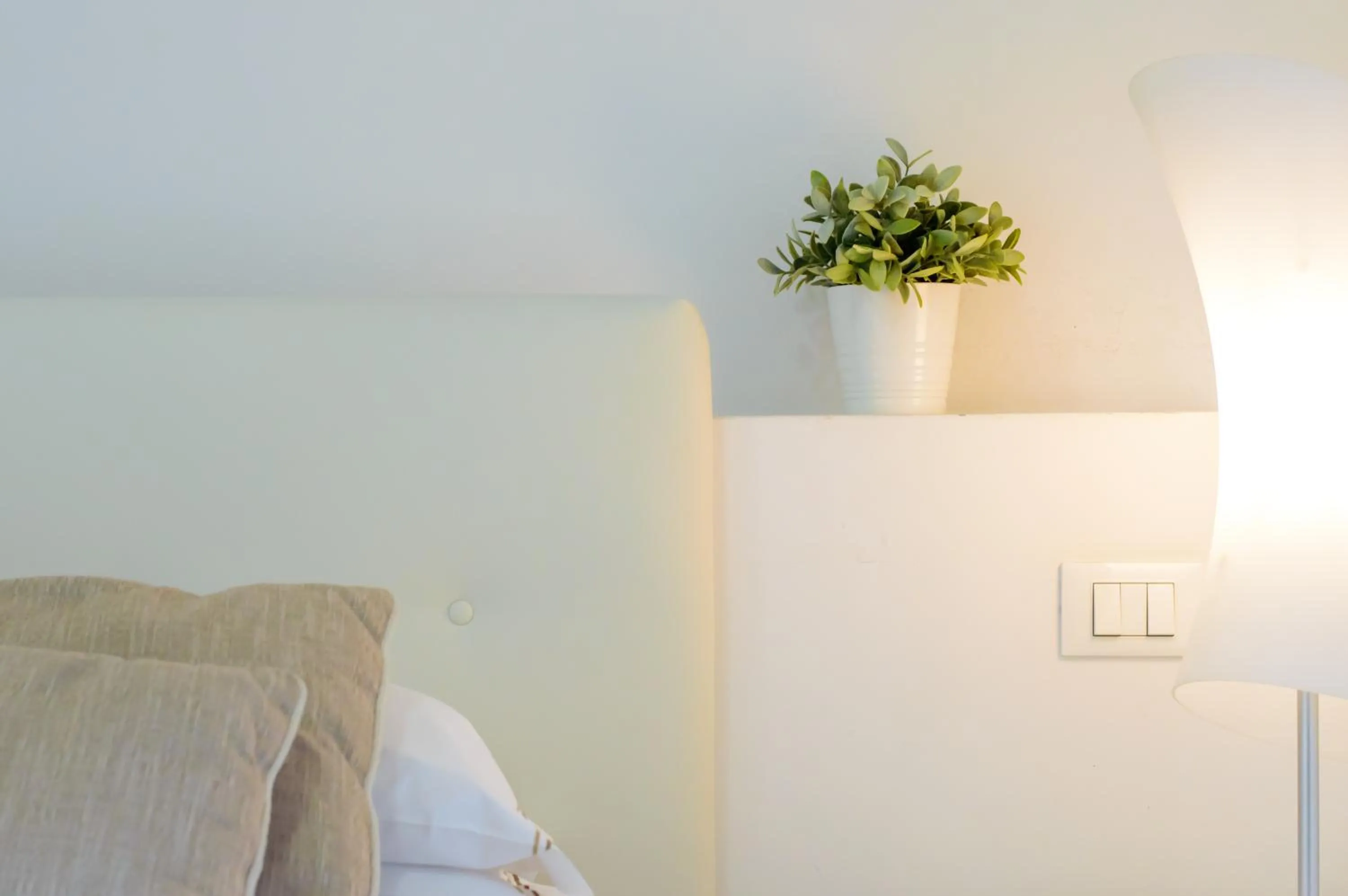 Homelink Firenze - Charlotte