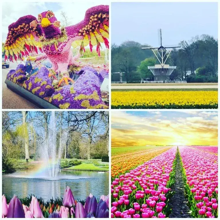 B&Bslapenopeeneiland B&Bslapenopeeneiland