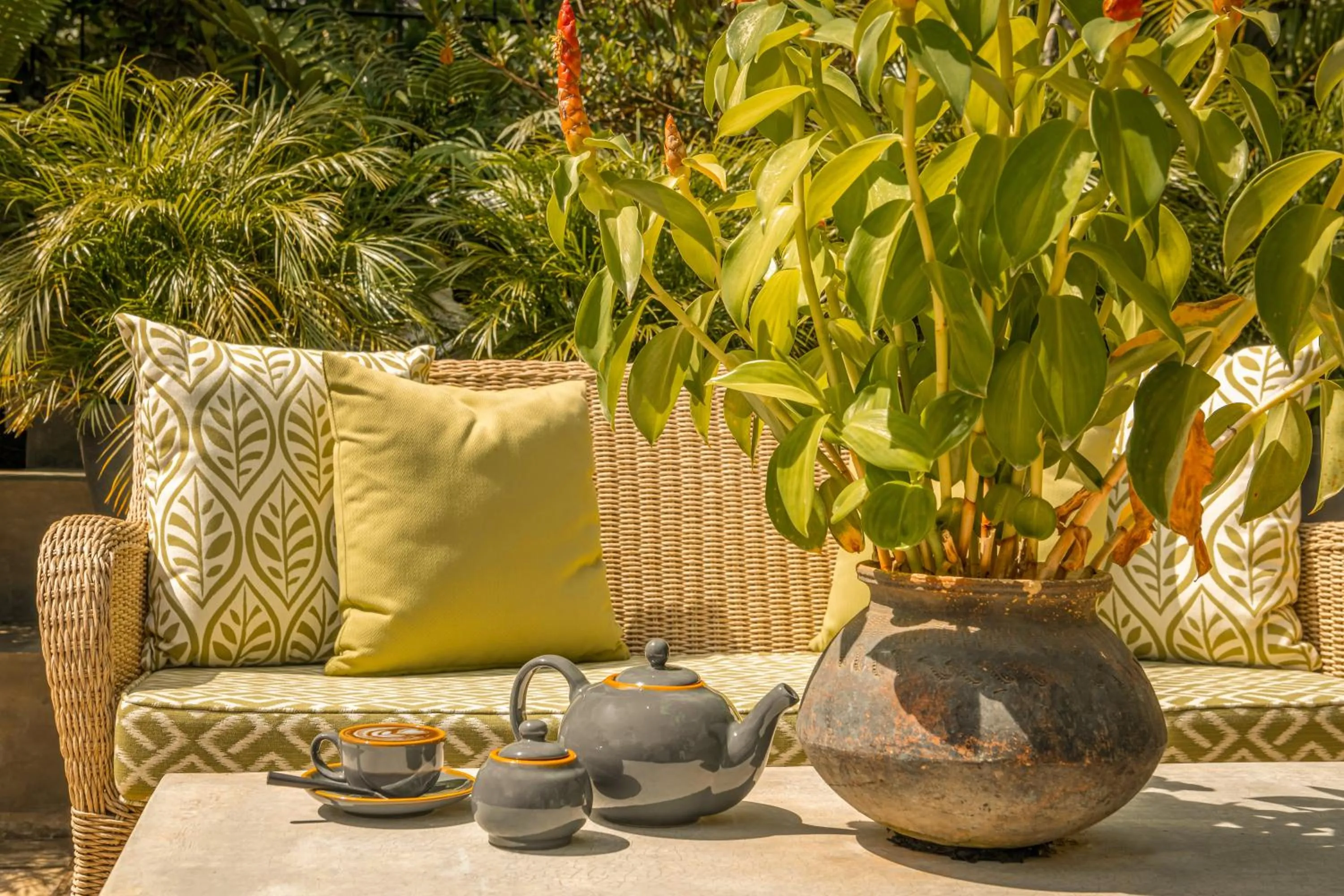 Garden in Ishq Colombo