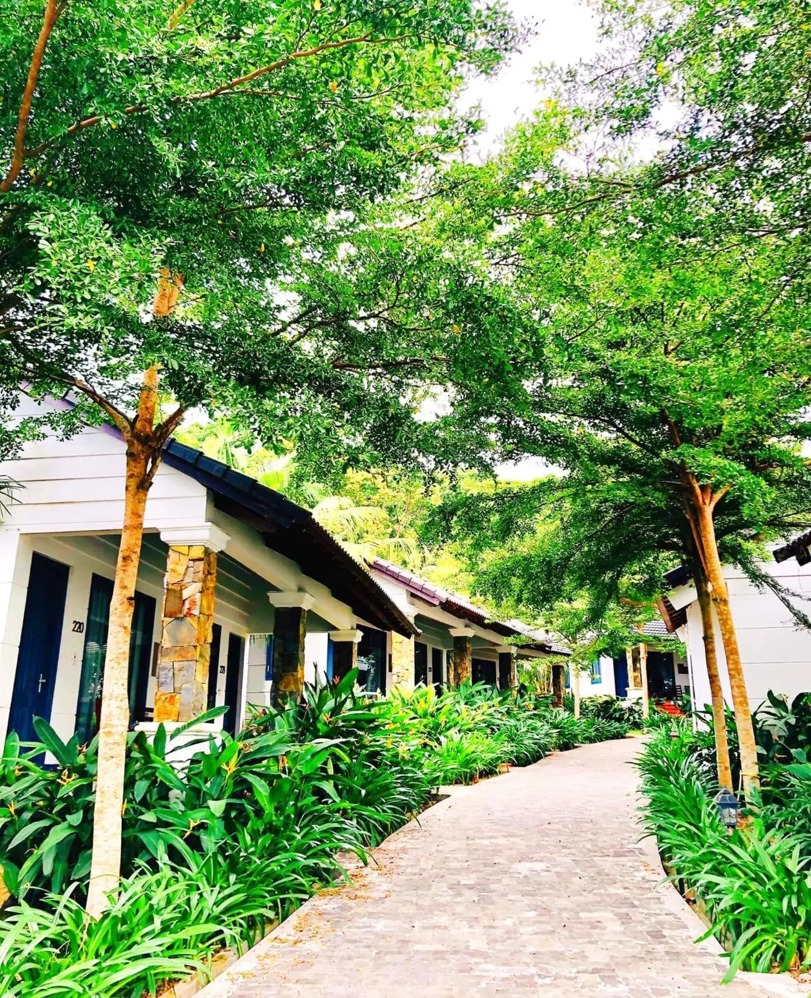 Garden view in Santa Garden Resort Garden view in Santa Garden Resort