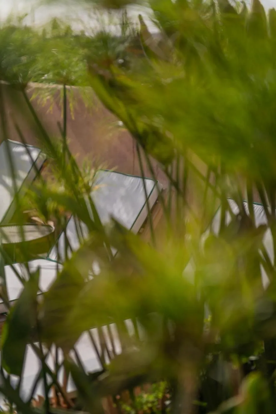 Spring in Riad Le Saadien ,Adult only