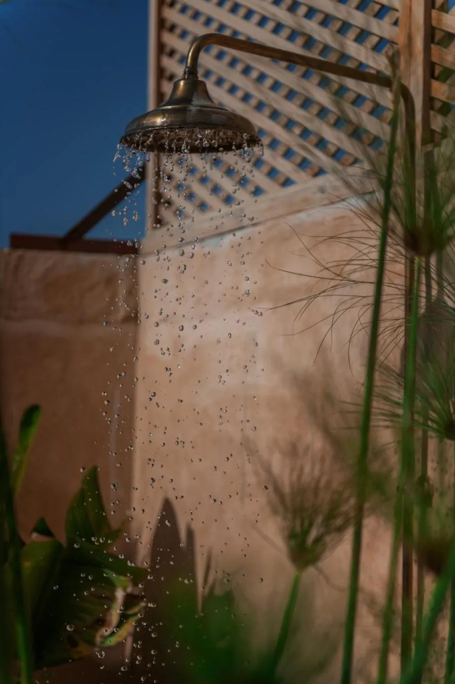 Garden view in Riad Le Saadien ,Adult only