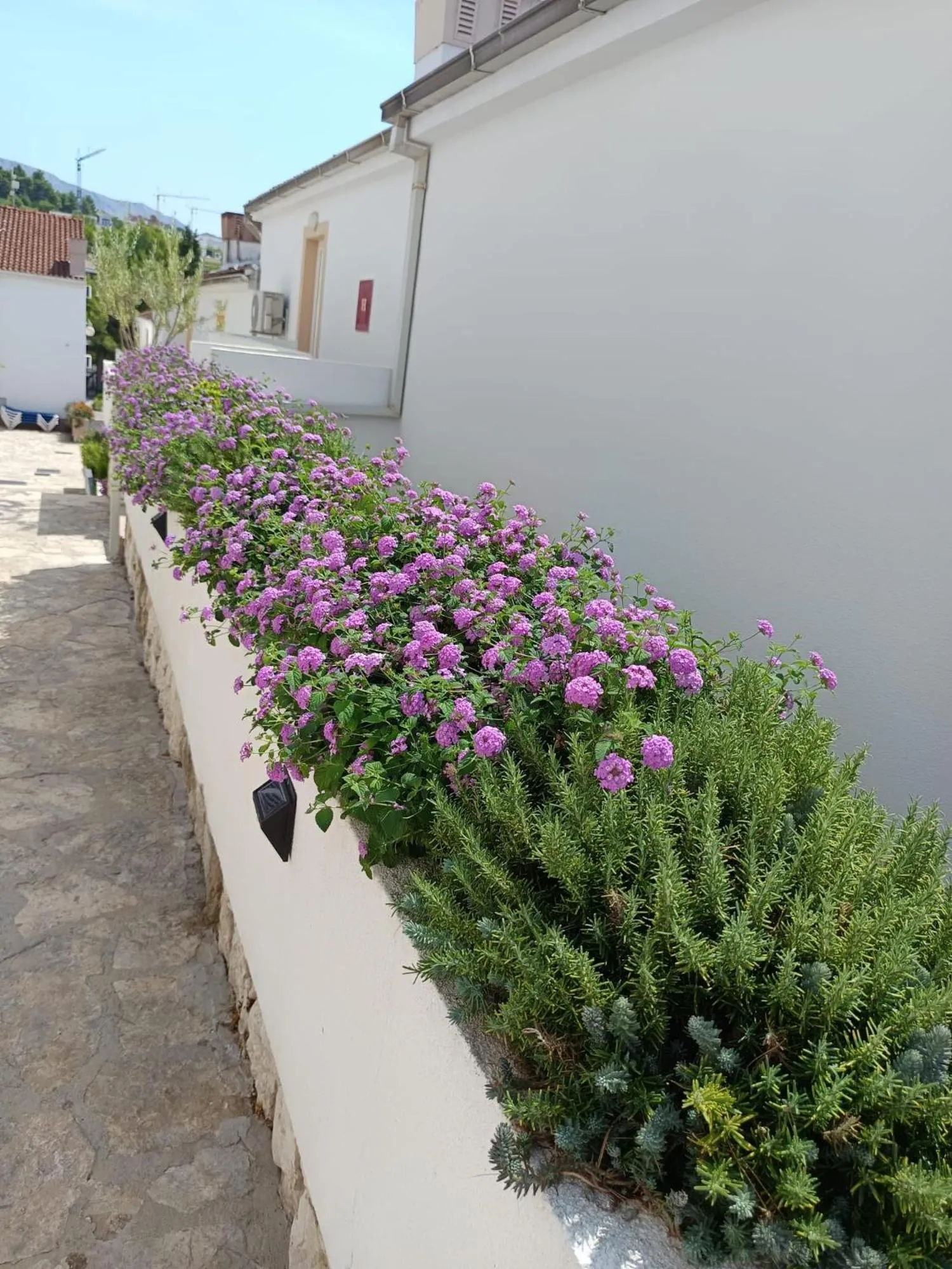 Sunny beach apartment Lavica