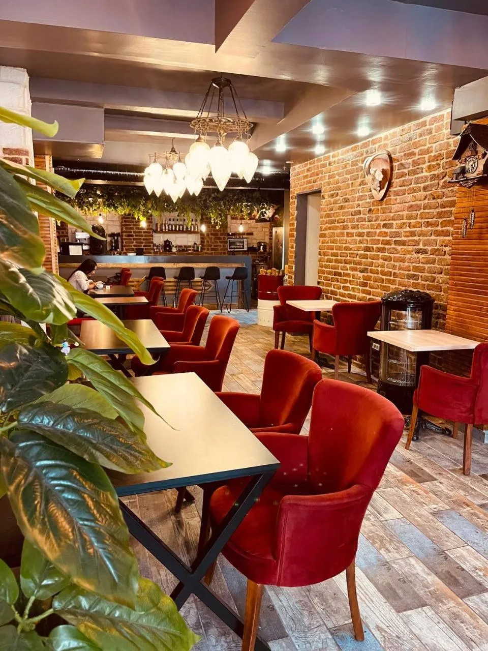 Restaurant/places to eat in AYSA Hotel