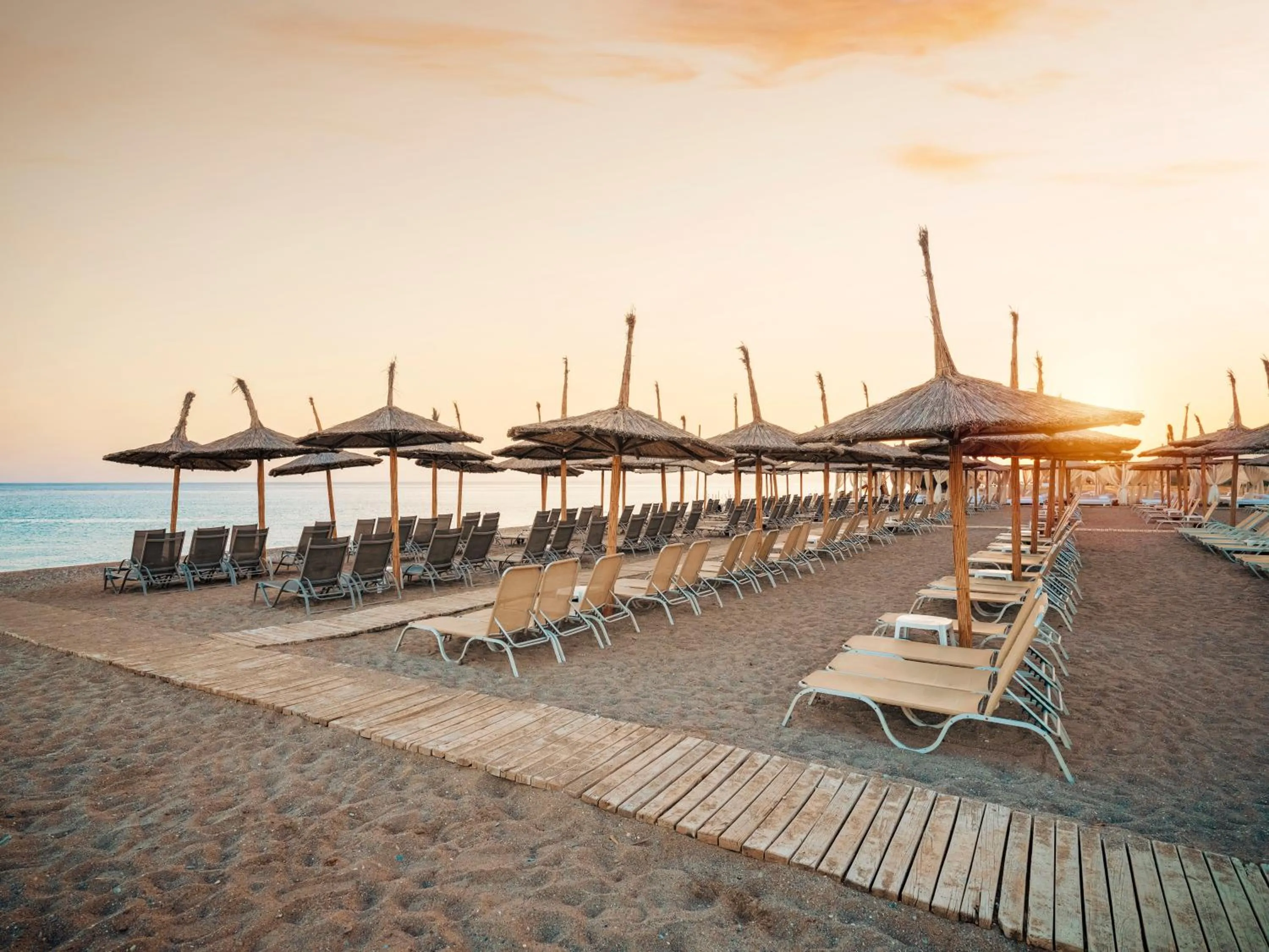 Beach in Asteria Bloom Side