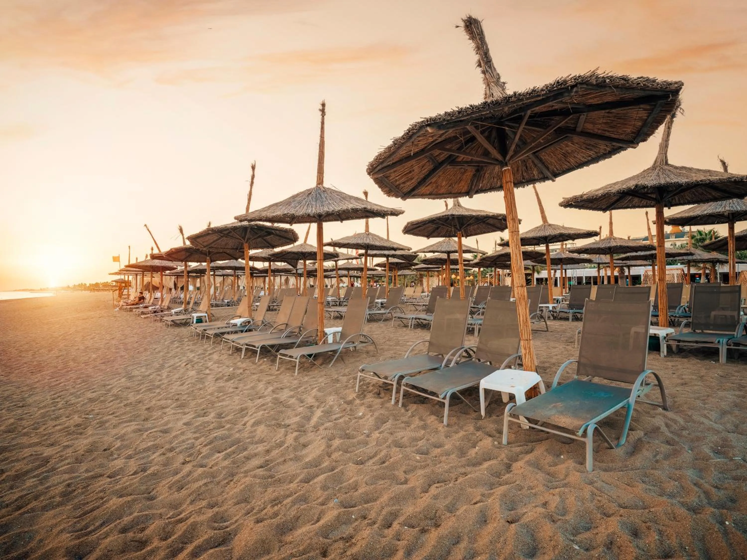 Beach in Asteria Bloom Side