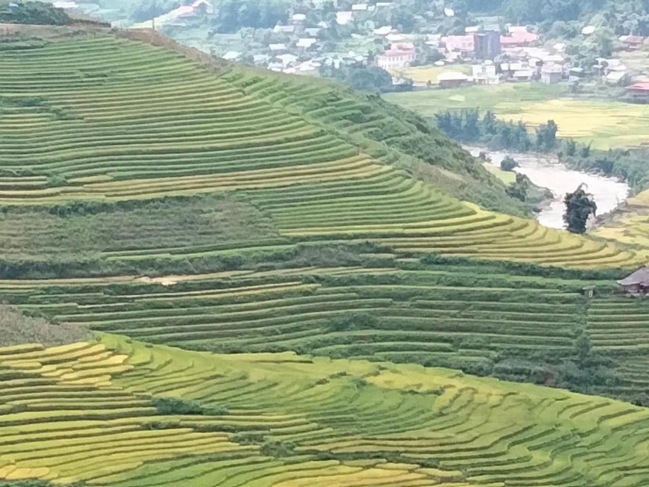 Natural landscape in Arista Homestay