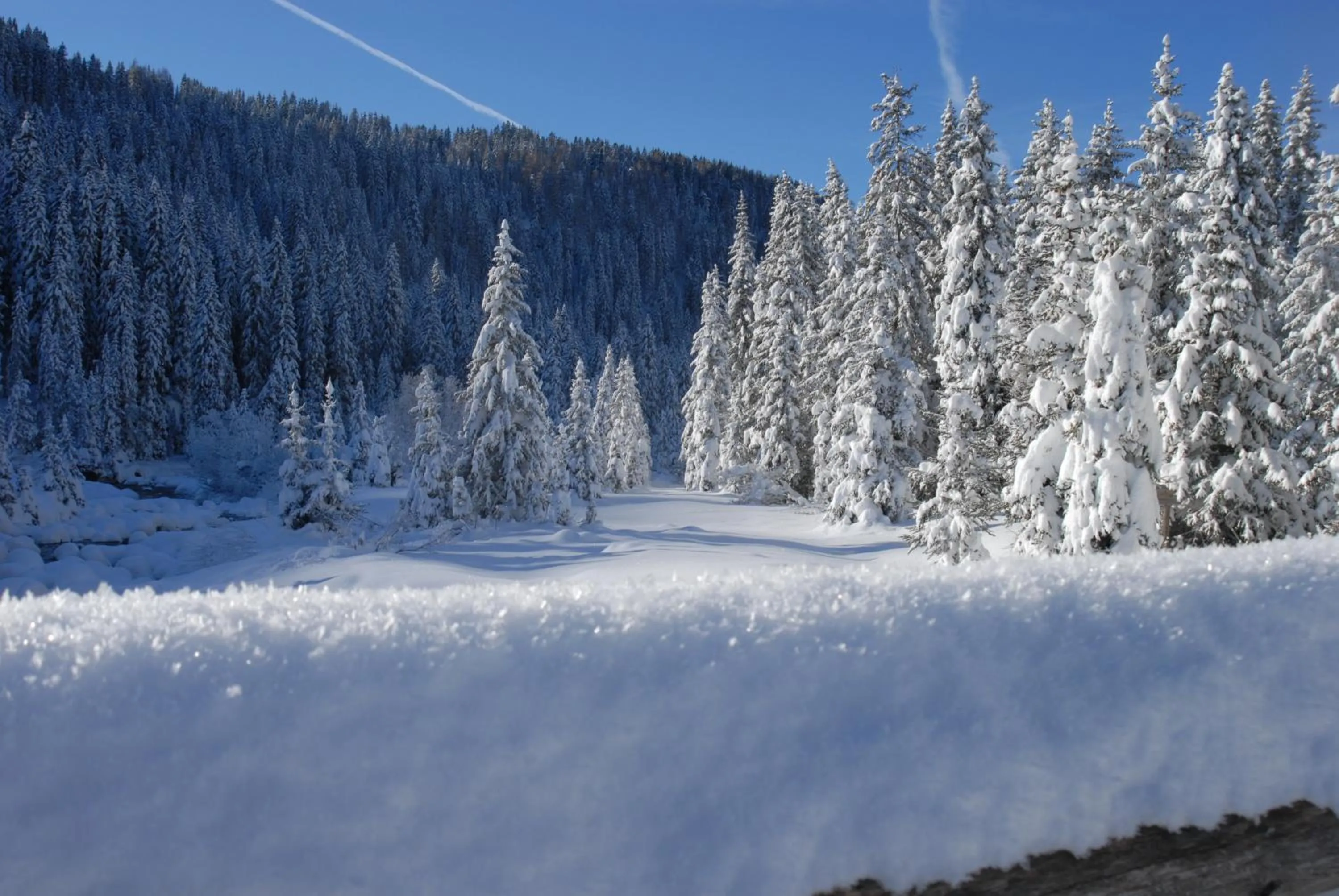 Other in Ciasa Mancin Suite-Apartments