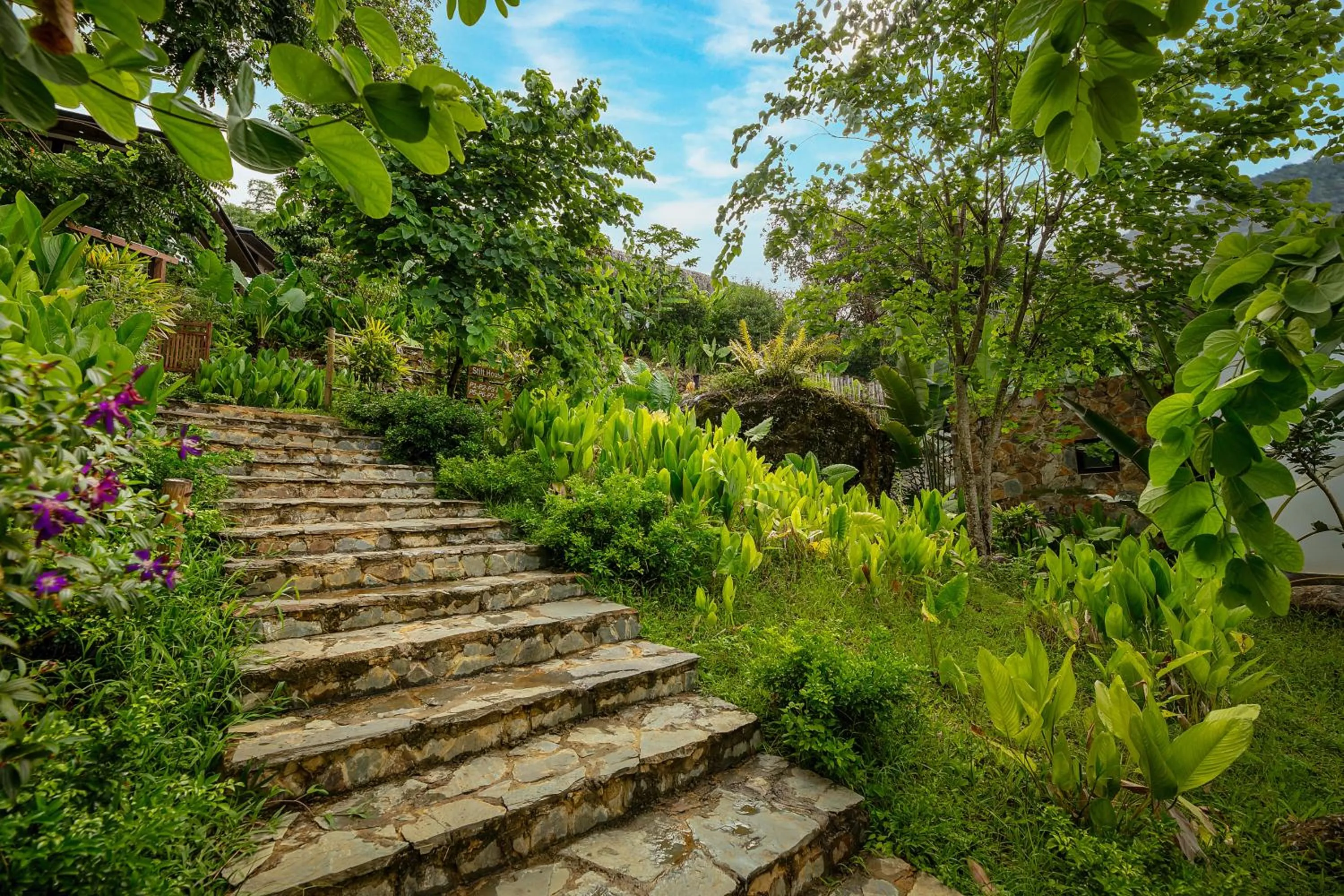 Property building in PU LUONG BOCBANDI RETREAT