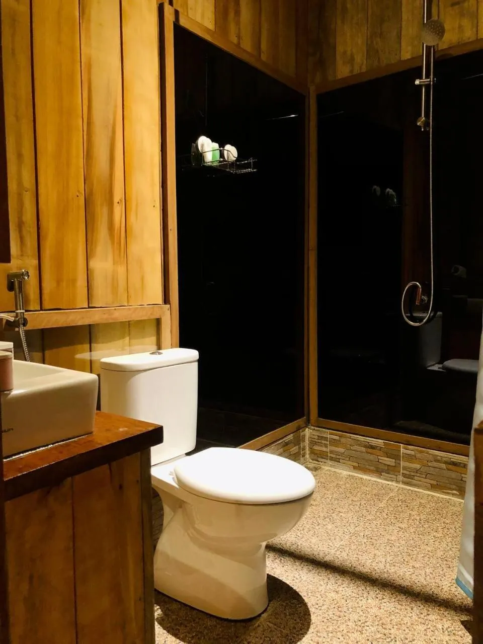 Toilet in stay KULTURA