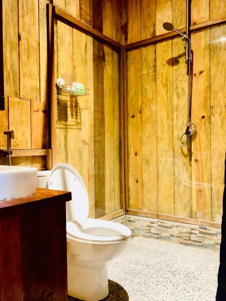 Toilet in stay KULTURA