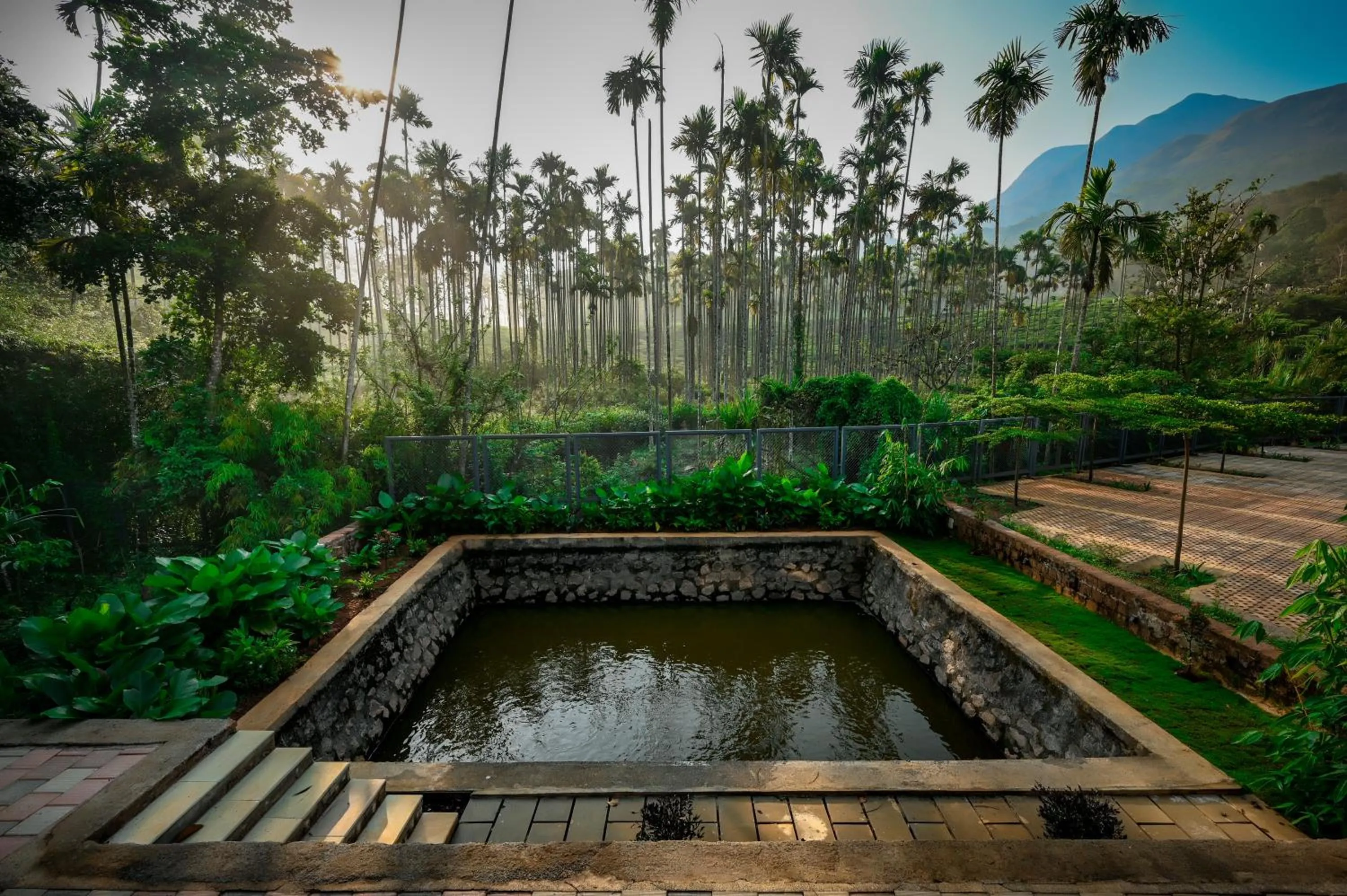 Fishing in Maple Ash Resort