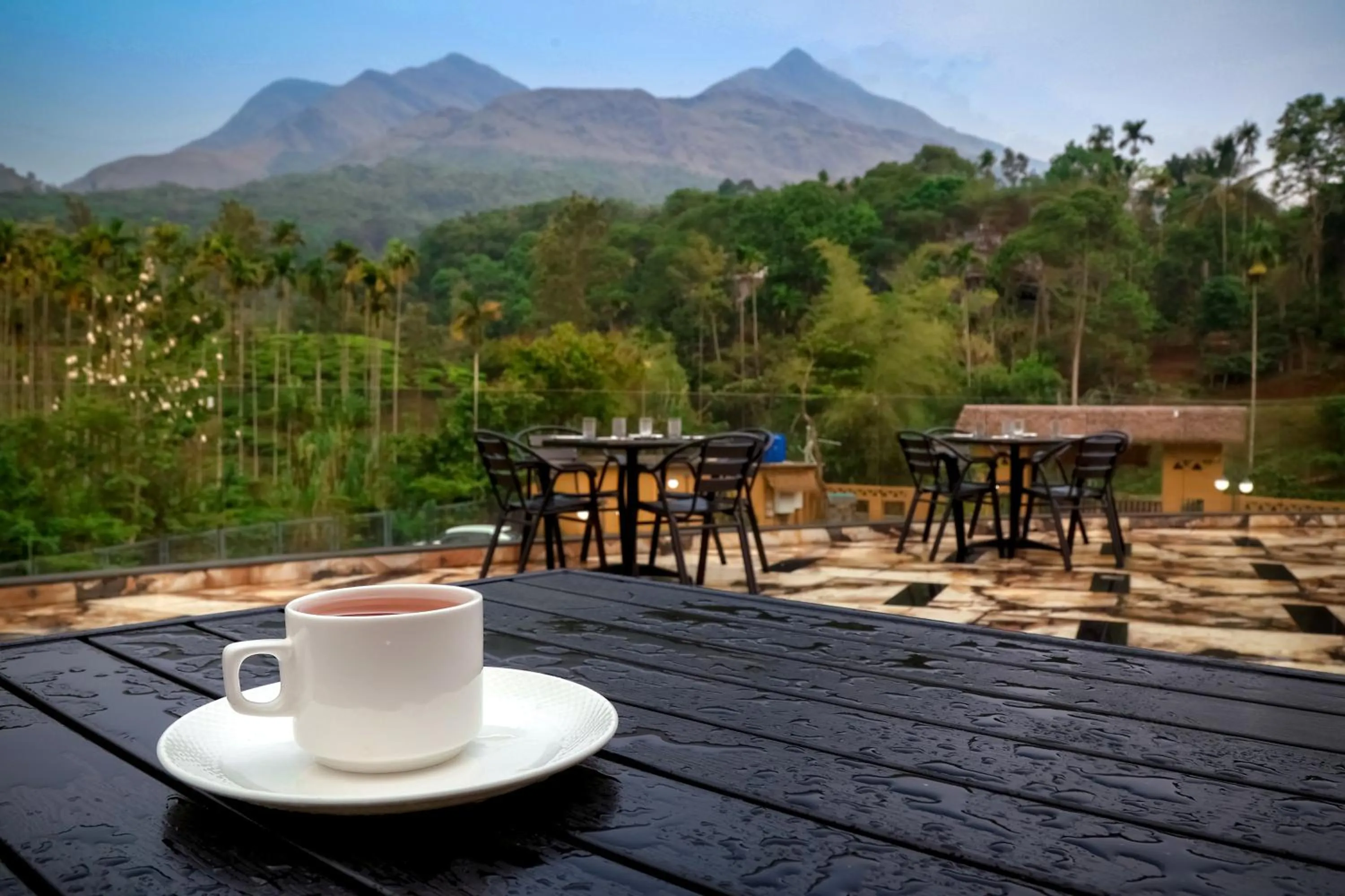 Restaurant/places to eat in Maple Ash Resort