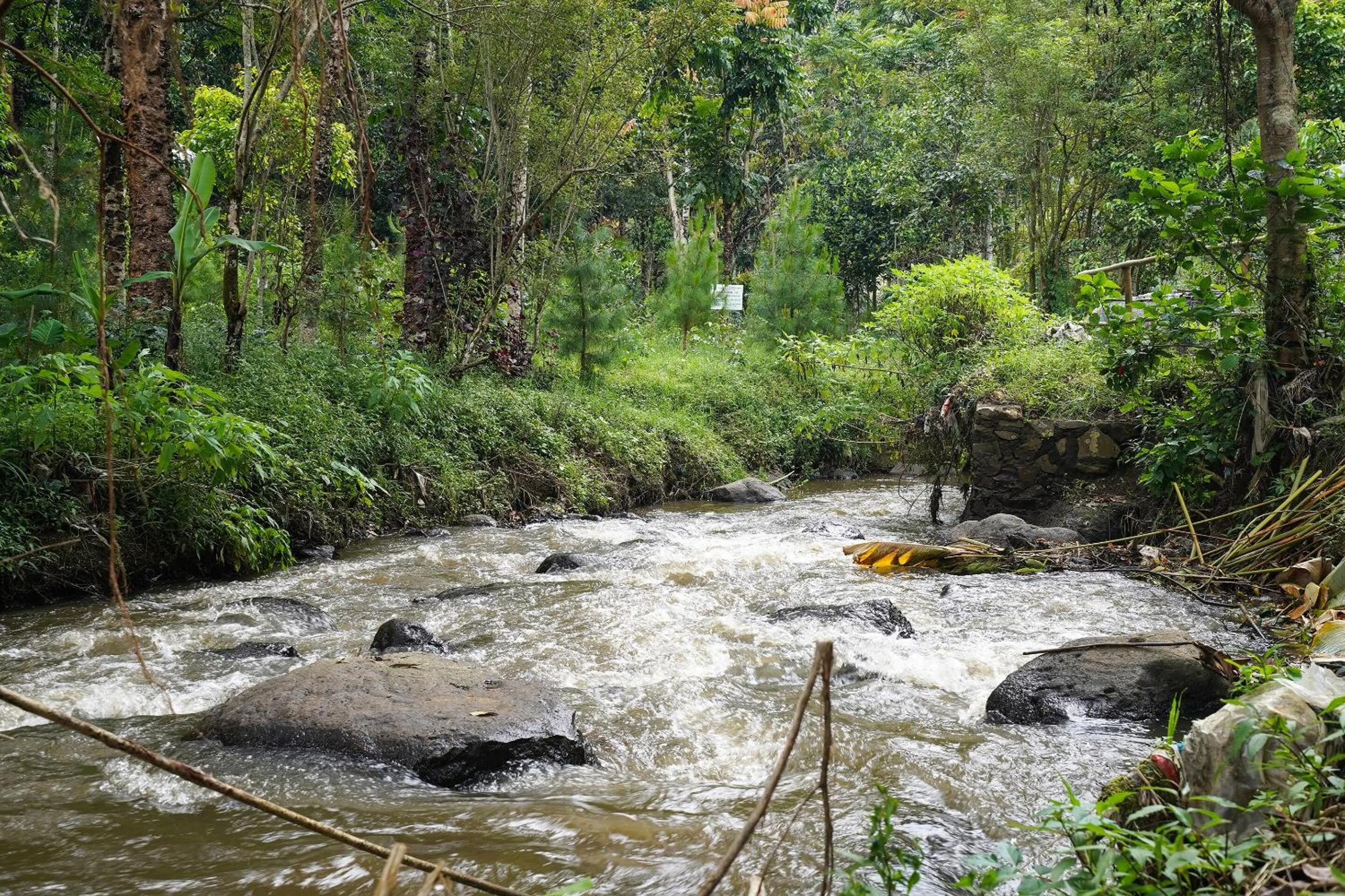 Other in OYO Homes 91006 Eco Tourism Desa Cibodas Areng 5 Syariah