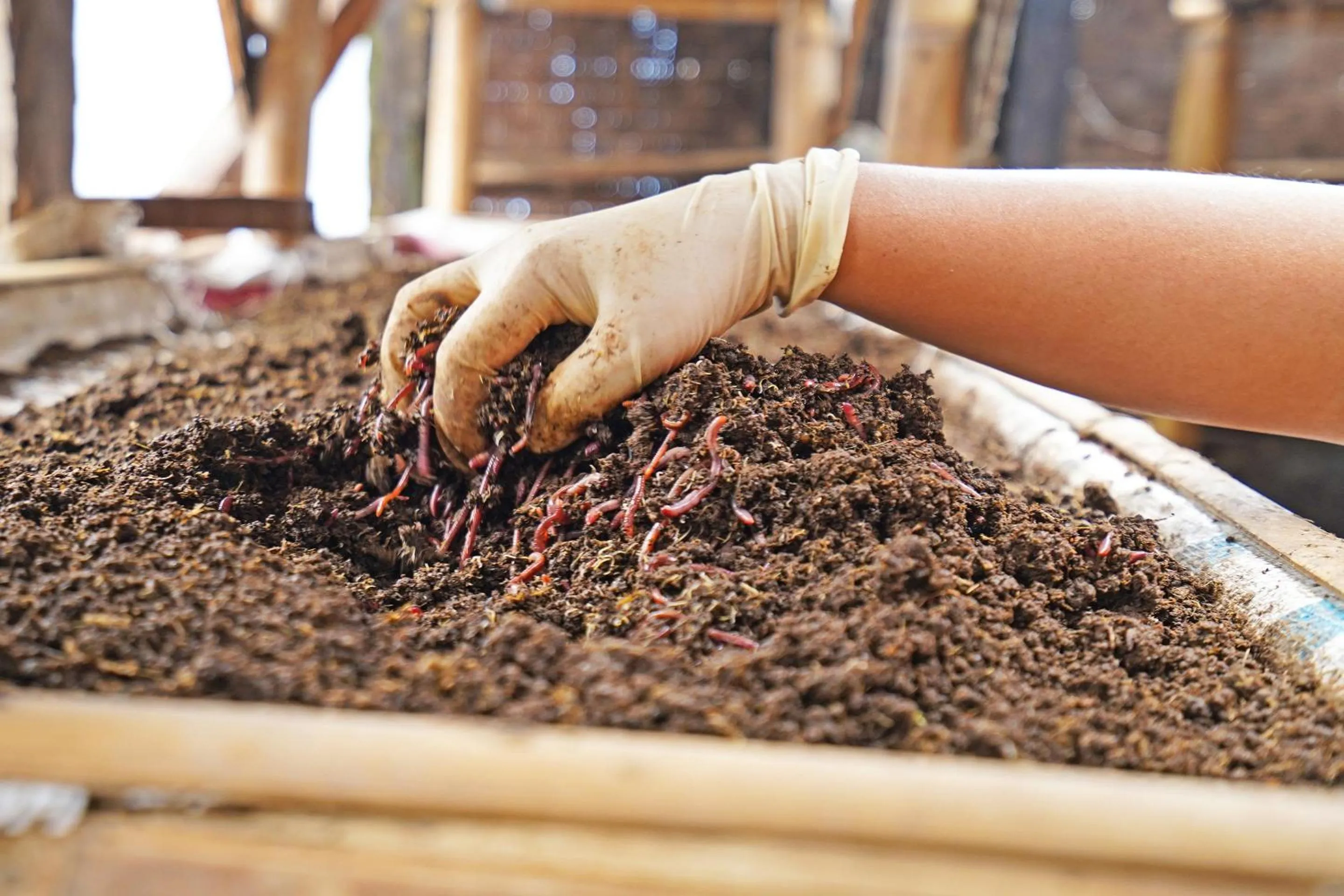 Other in OYO Homes 91006 Eco Tourism Desa Cibodas Areng 5 Syariah