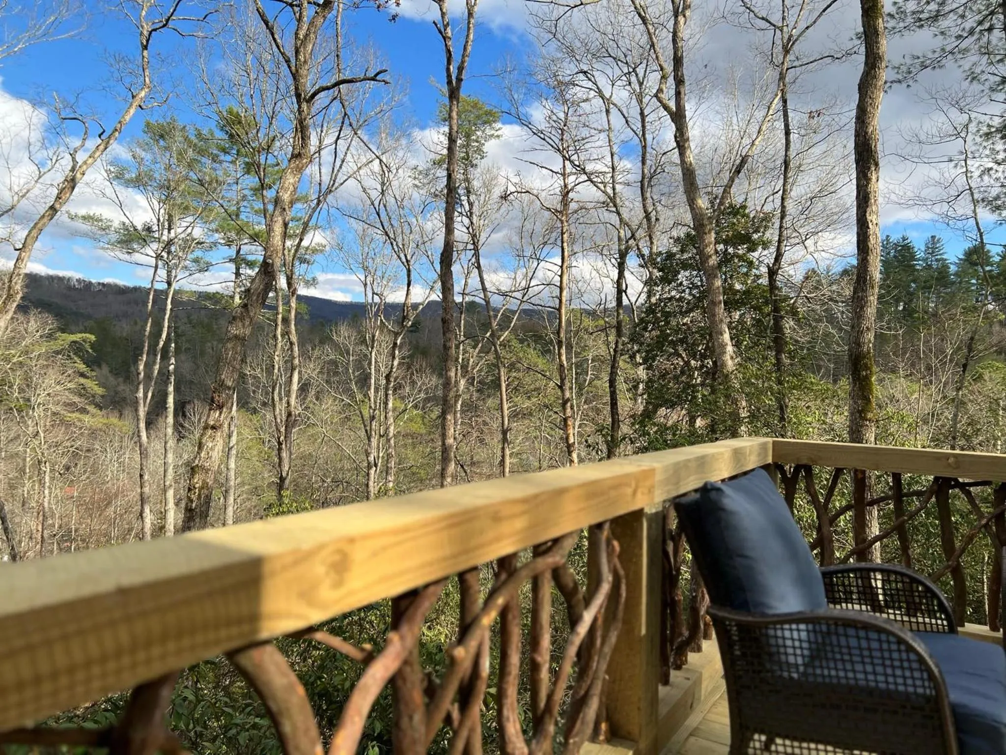 Log Cabin with Mountain View and Privacy