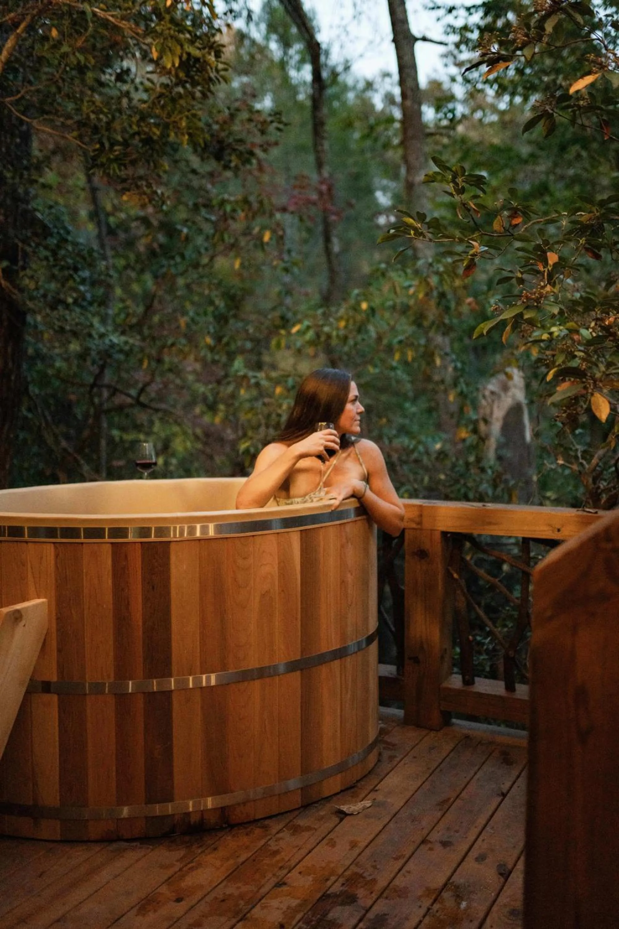 Log Cabin with Mountain View and Privacy