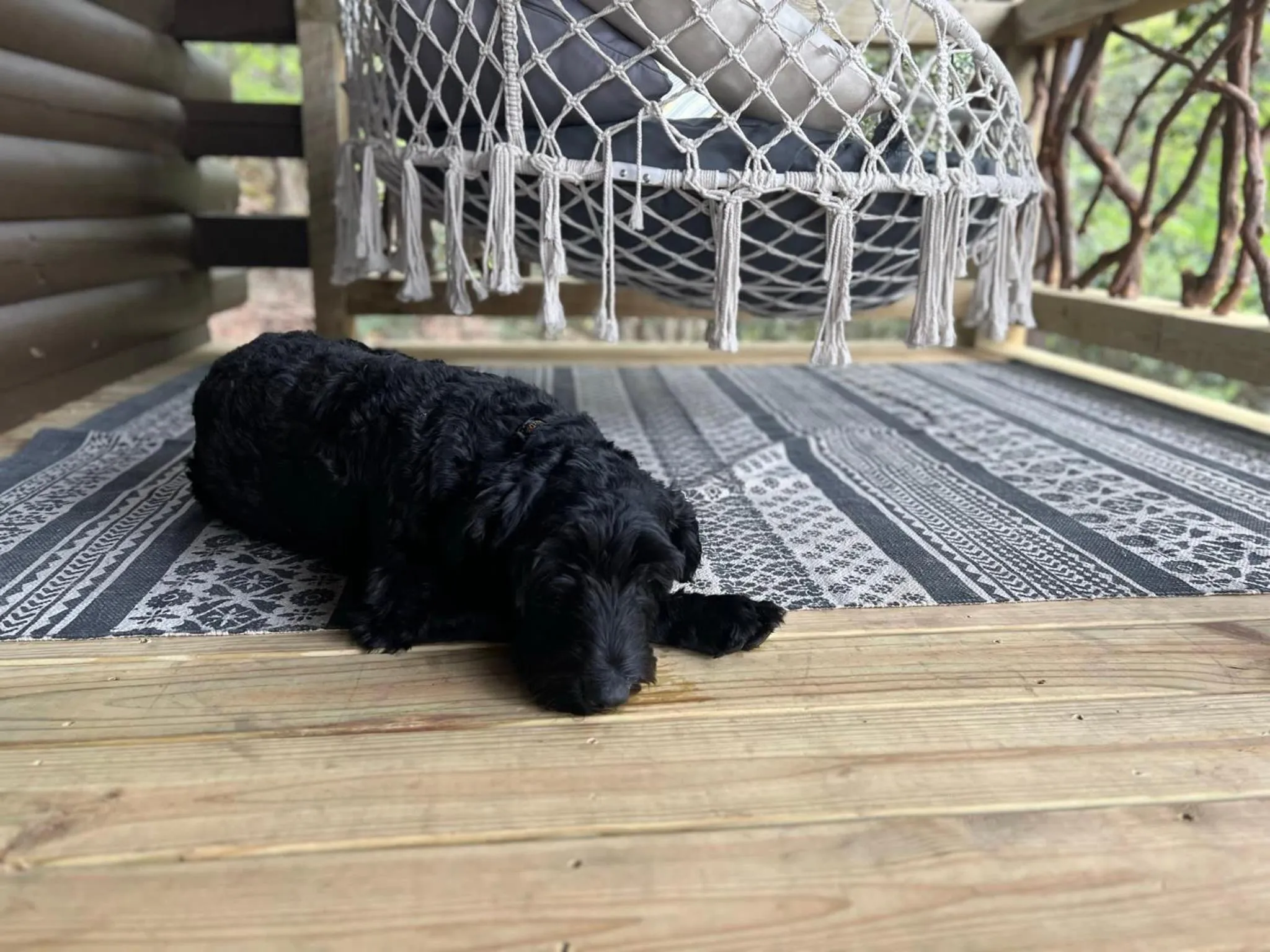 Log Cabin with Mountain View and Privacy