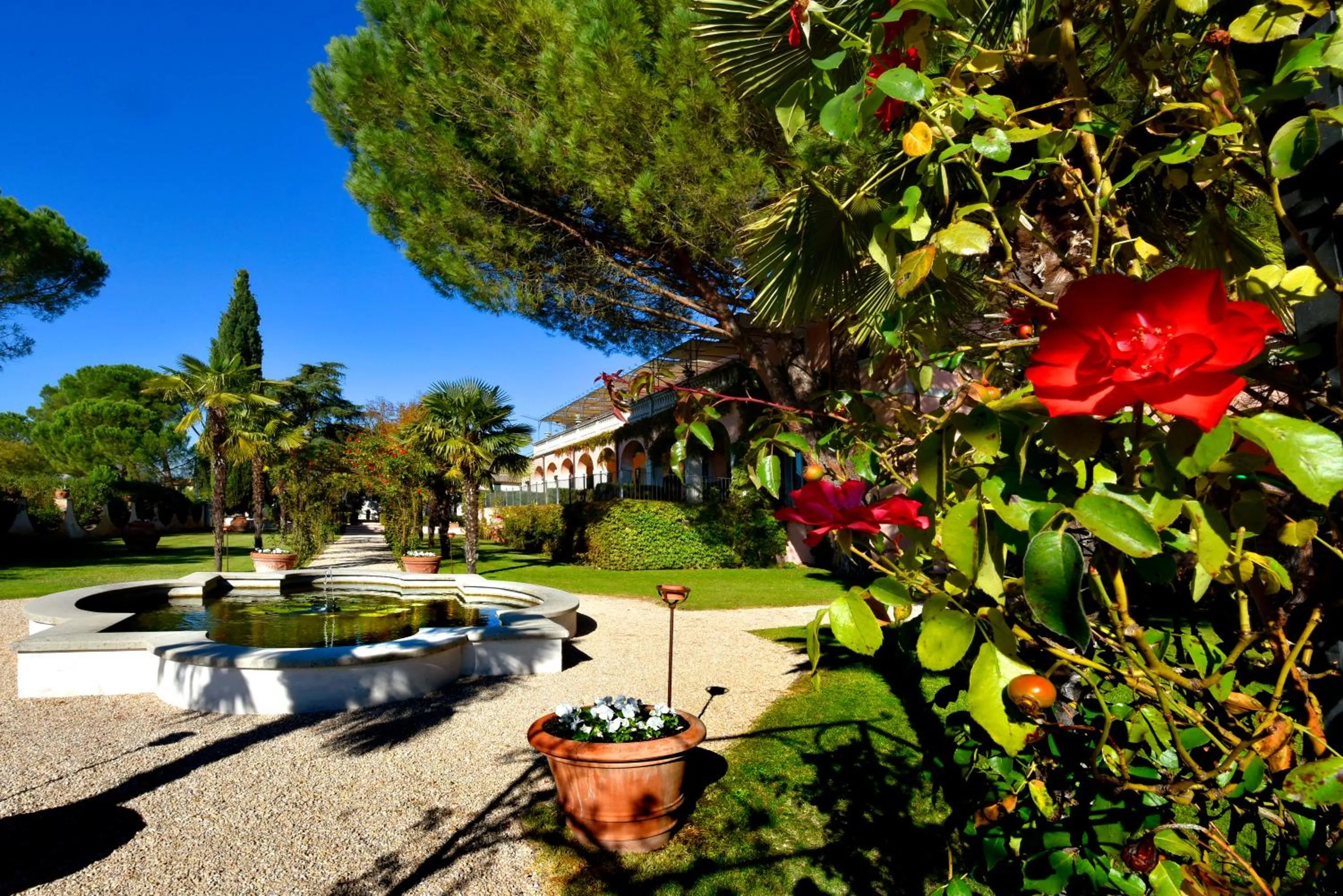 Garden in Villa Santa Barbara