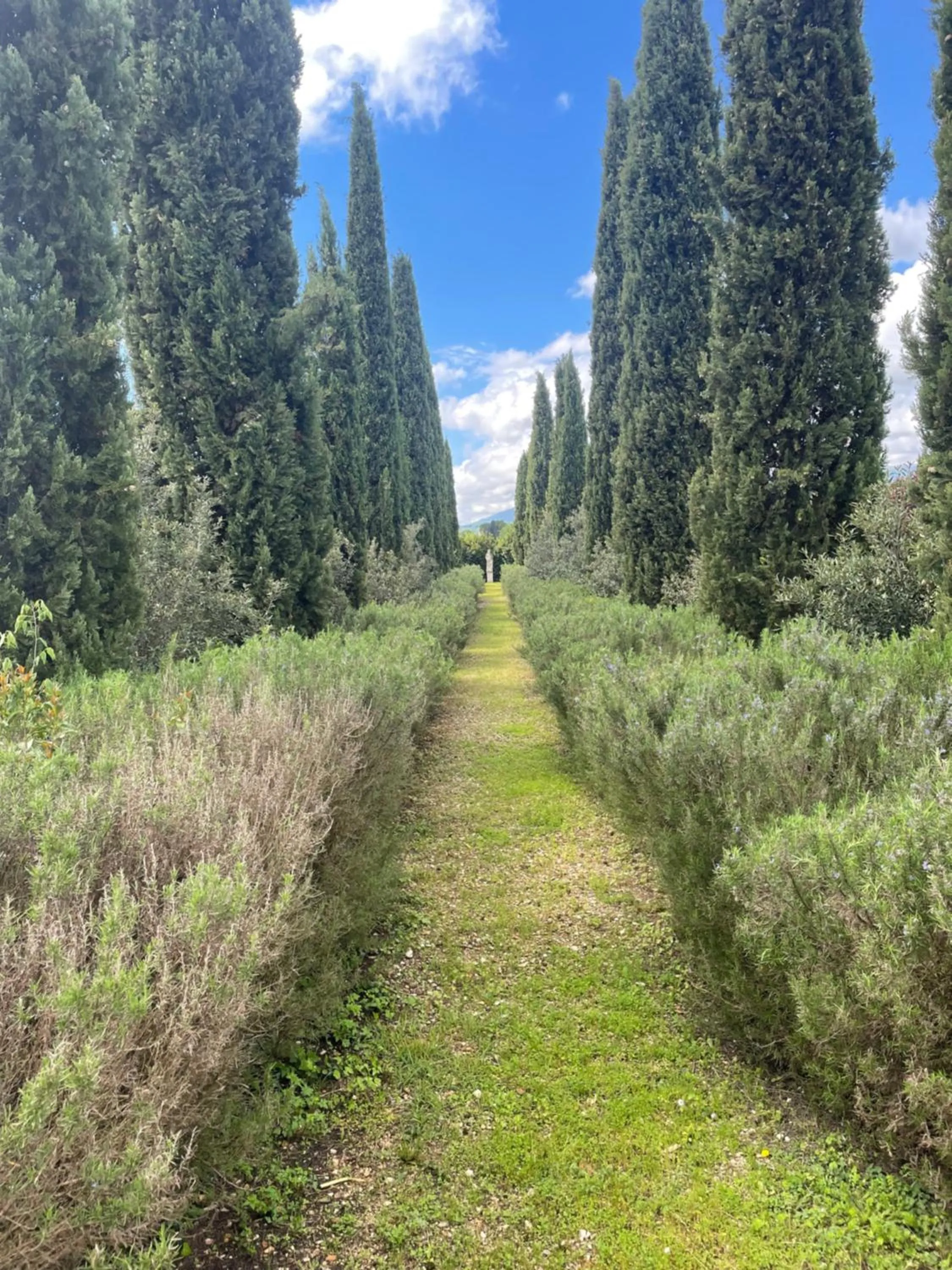 Garden in Villa Santa Barbara