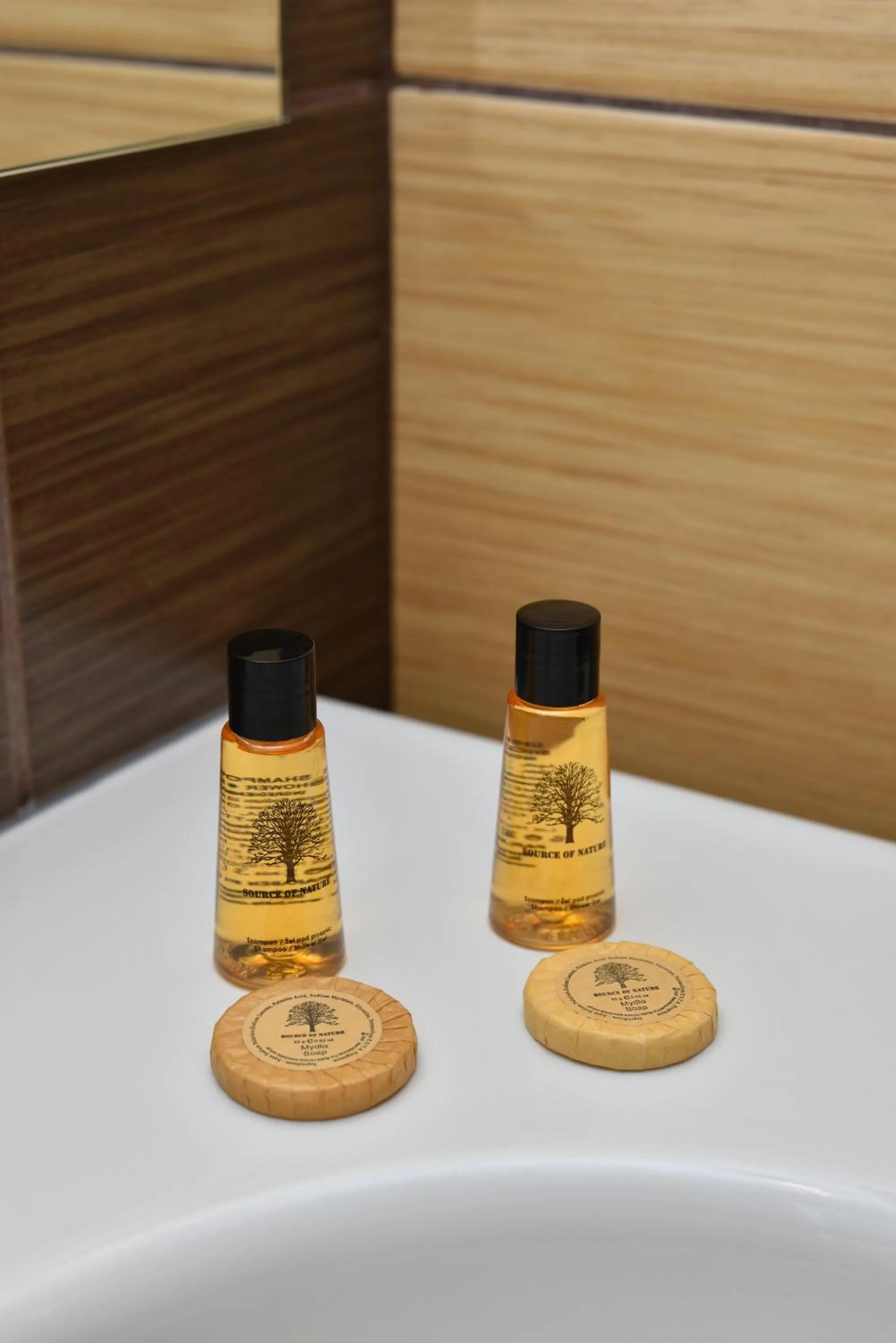 Toilet in Hotel Podium