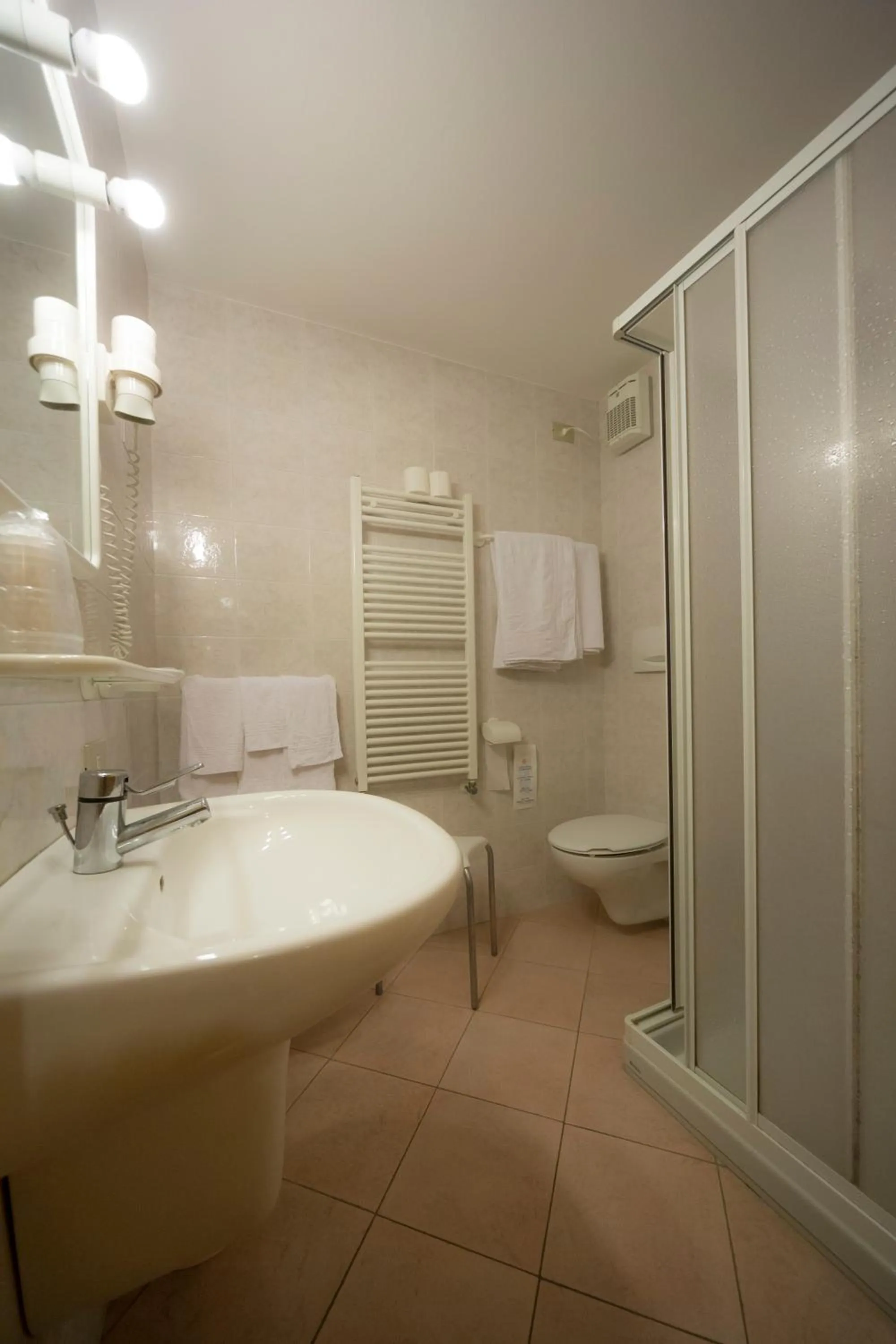 Bathroom in Hotel Trentino