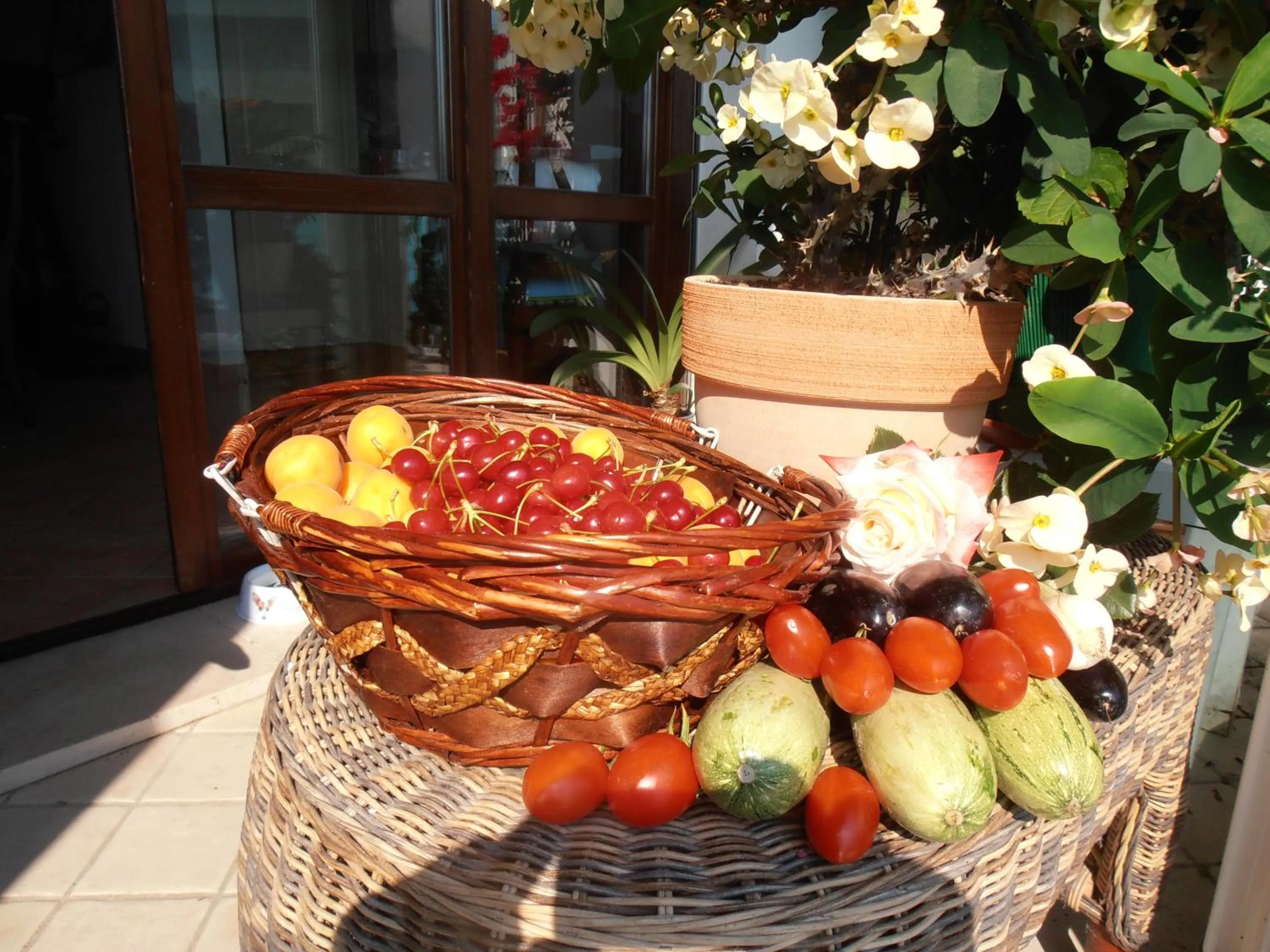 Food close-up in Hotel Walter