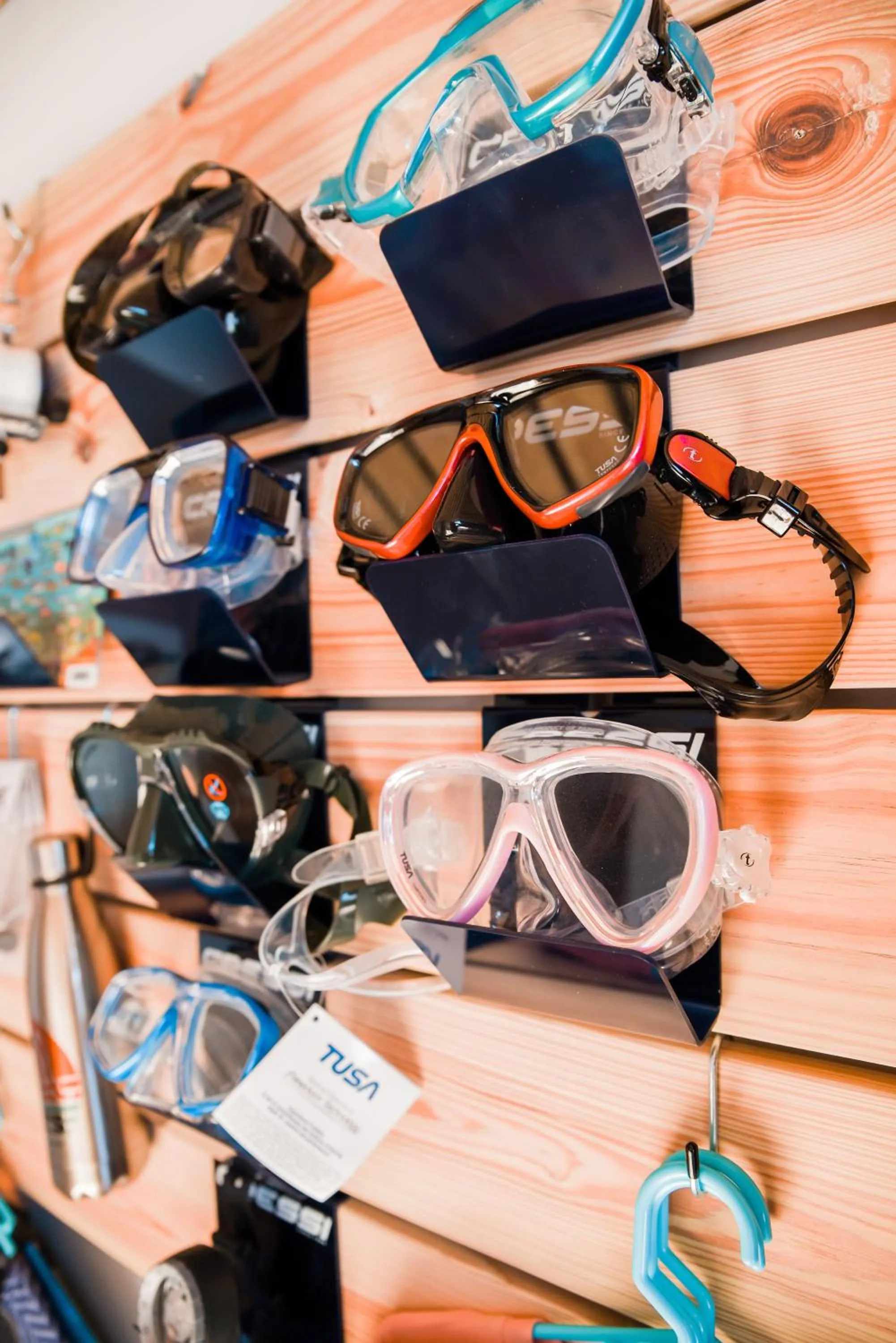 Diving in The Hut Bonaire