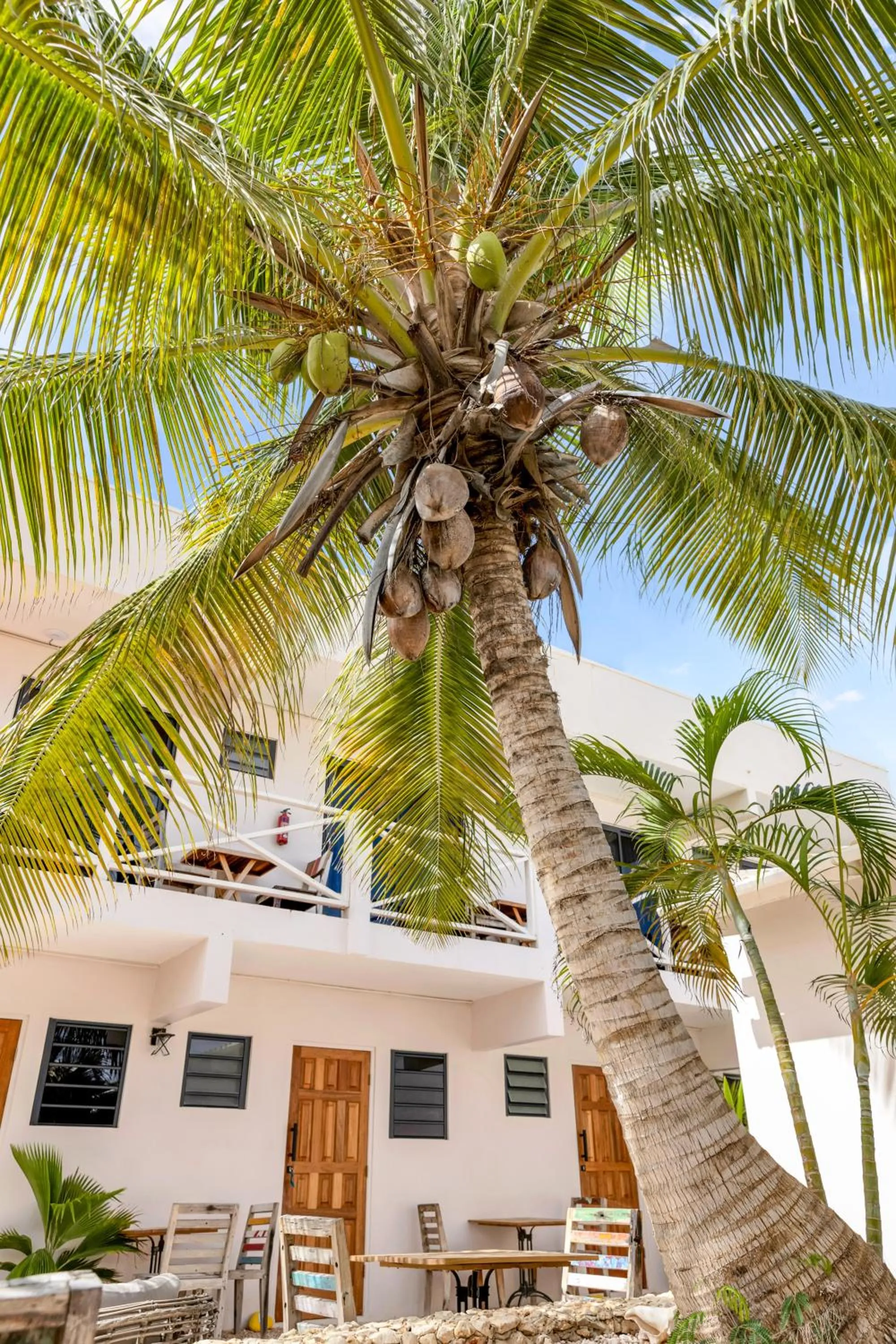 Inner courtyard view in The Hut Bonaire