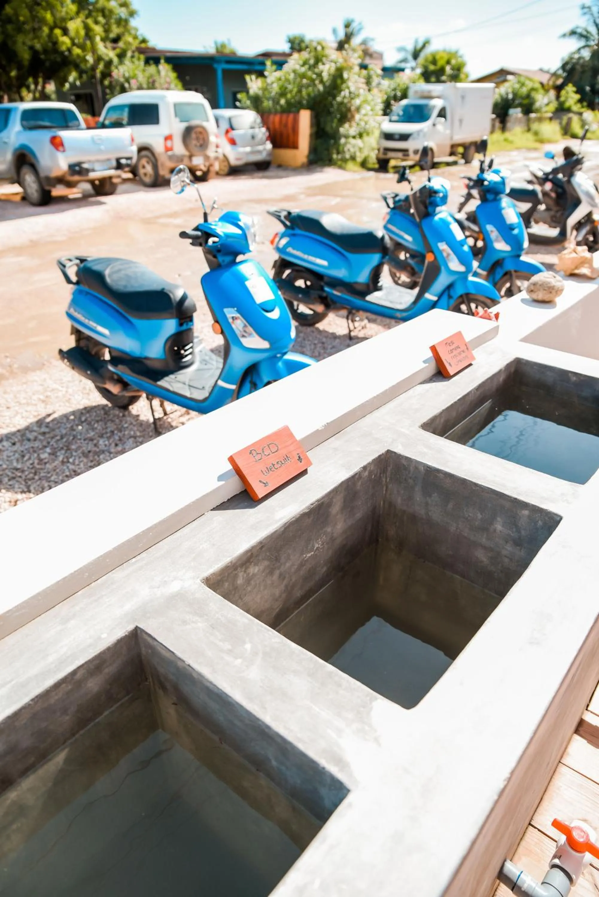 Diving in The Hut Bonaire