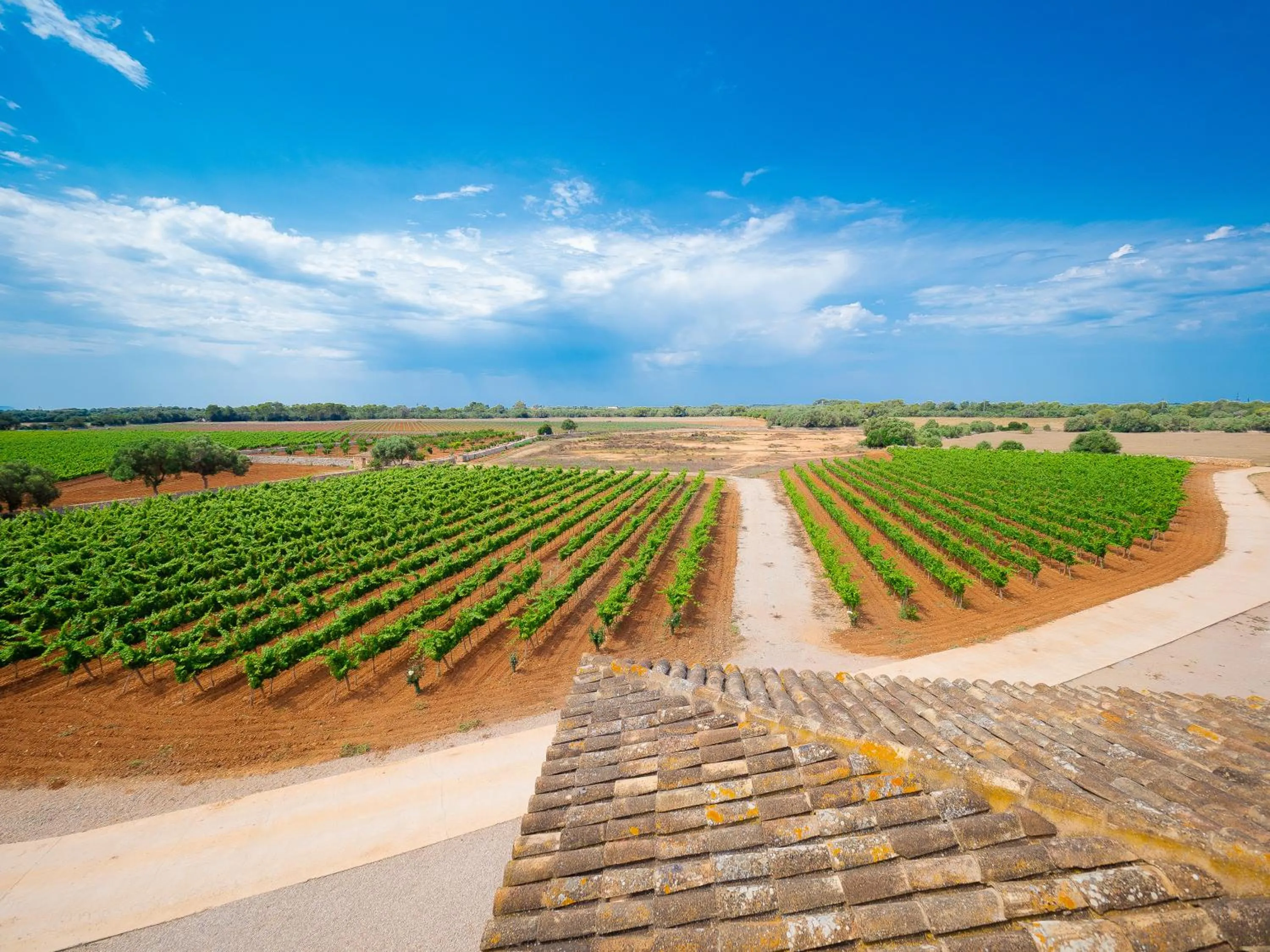Natural landscape in Finca Gomera - Agroturismo Hotel
